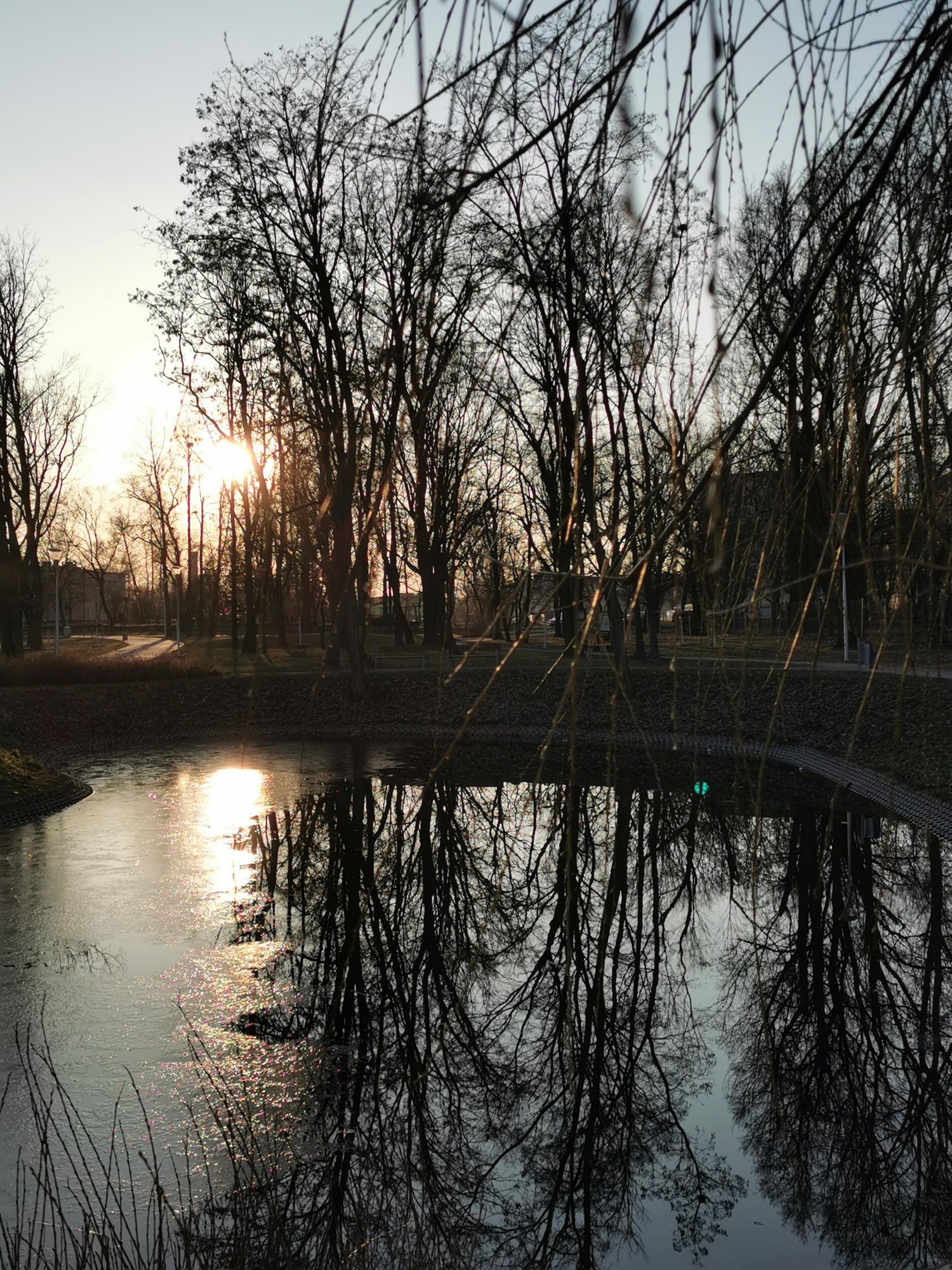 livebirdspoland_46fb8be570d6245a61f994ce8623640c.jpg