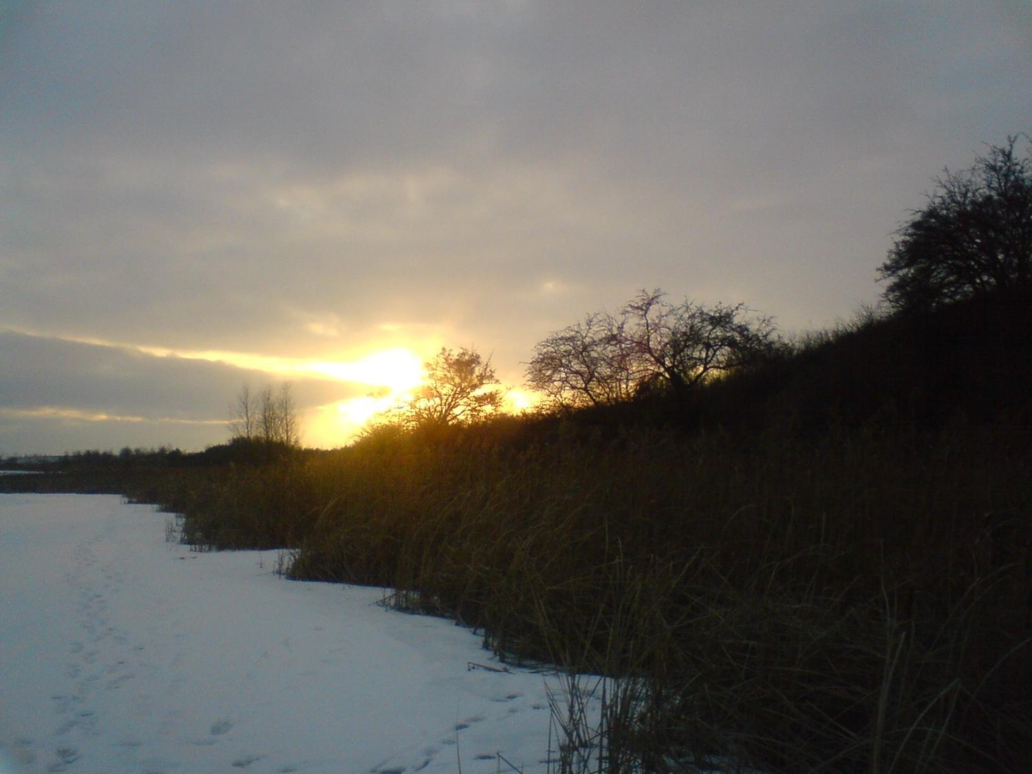 livebirdspoland_37a2acbf6b3576765ca344d8bf351795.jpg