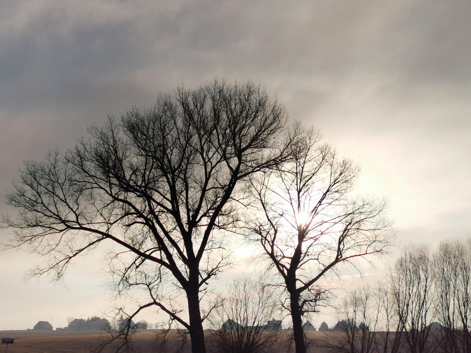 livebirdspoland_97d34158507221167aa6e25dfa1cc584.jpg