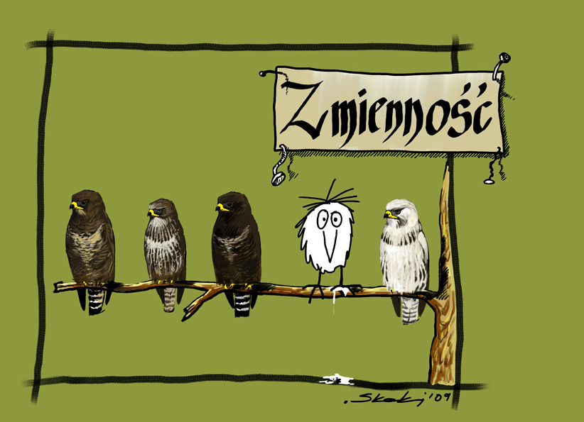 livebirdspoland_541c2b80d0c6e6d44770d201d5ce1f72.png
