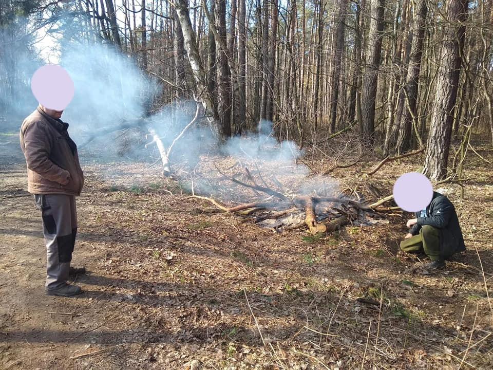 livebirdspoland_3e397572c999b50634d60eb7b06bec2b.png