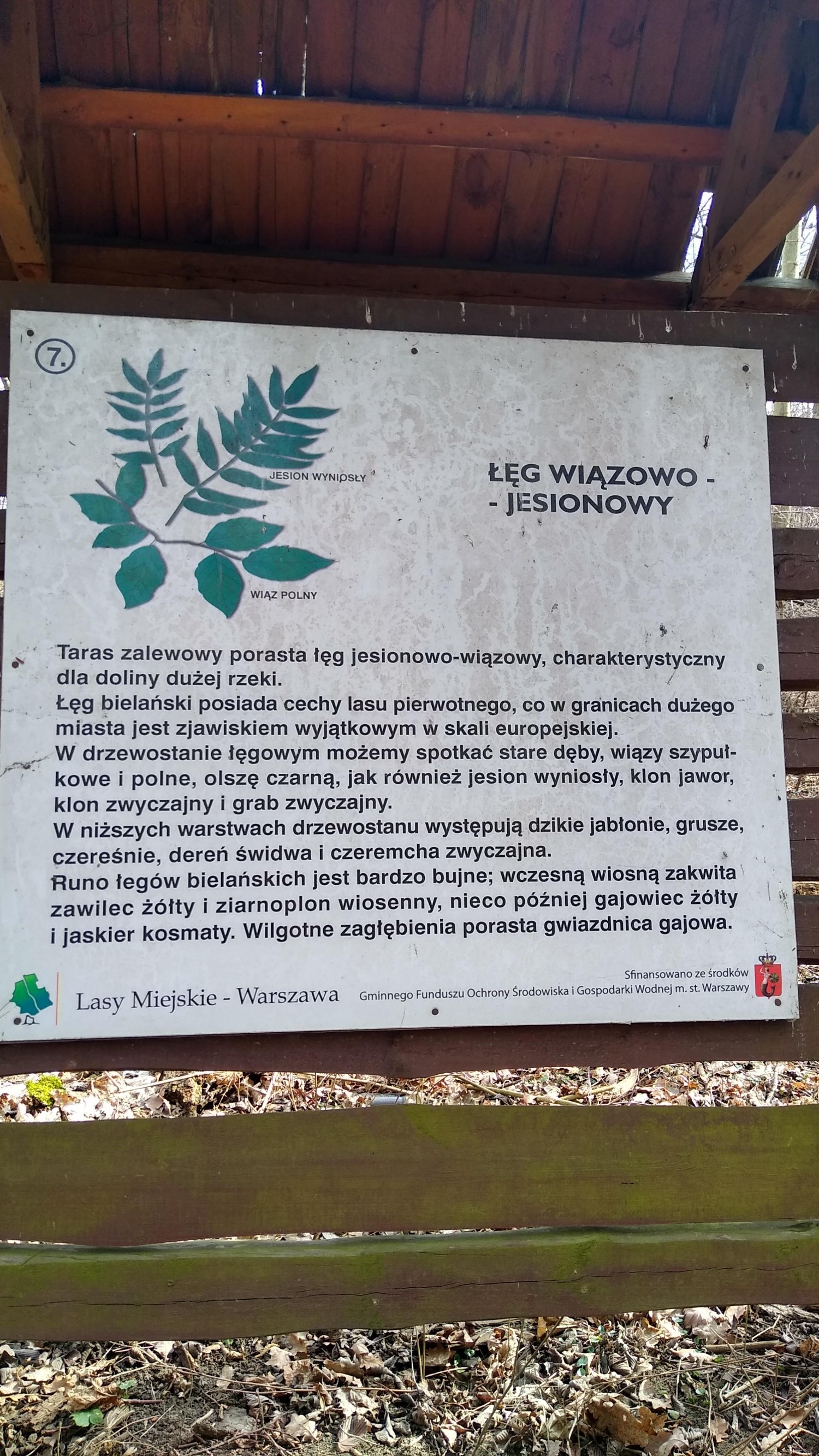 livebirdspoland_44c11380c8c0c31485384fa56f4b744f.jpg
