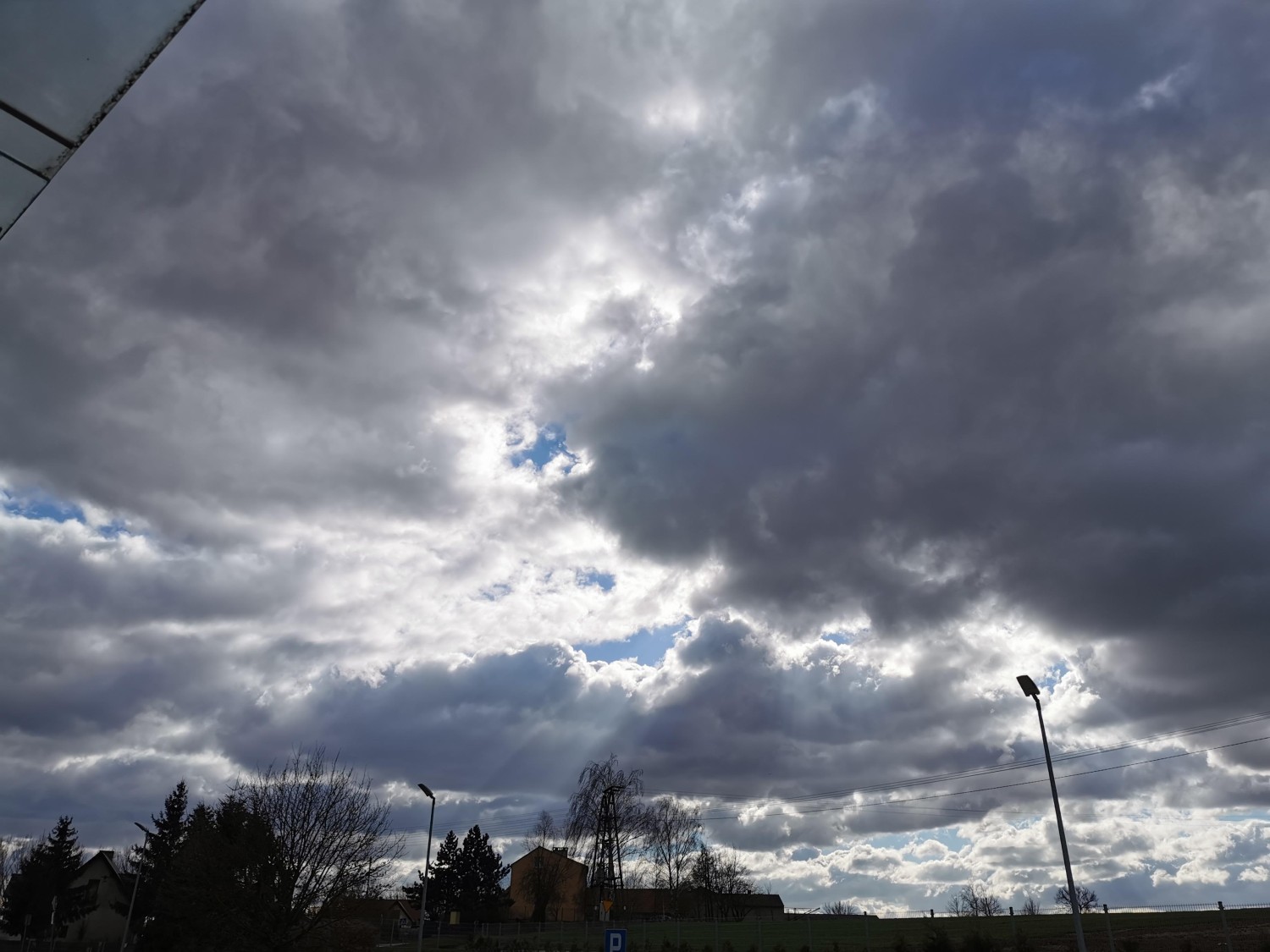 livebirdspoland_34614038348be43f5a53c1e9441e9f72.jpg