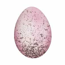 livebirdspoland_177eca34b0ba3ef77cca50c3127d60fb.png