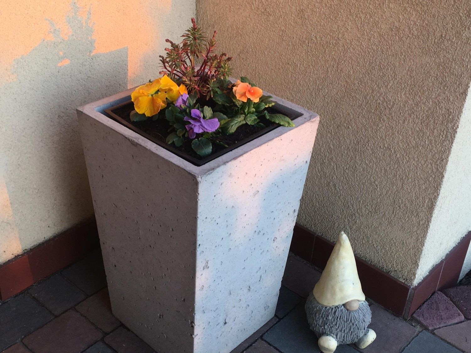 livebirdspoland_cfe1613269ebd65b647fdd7f21ecec1a.jpg