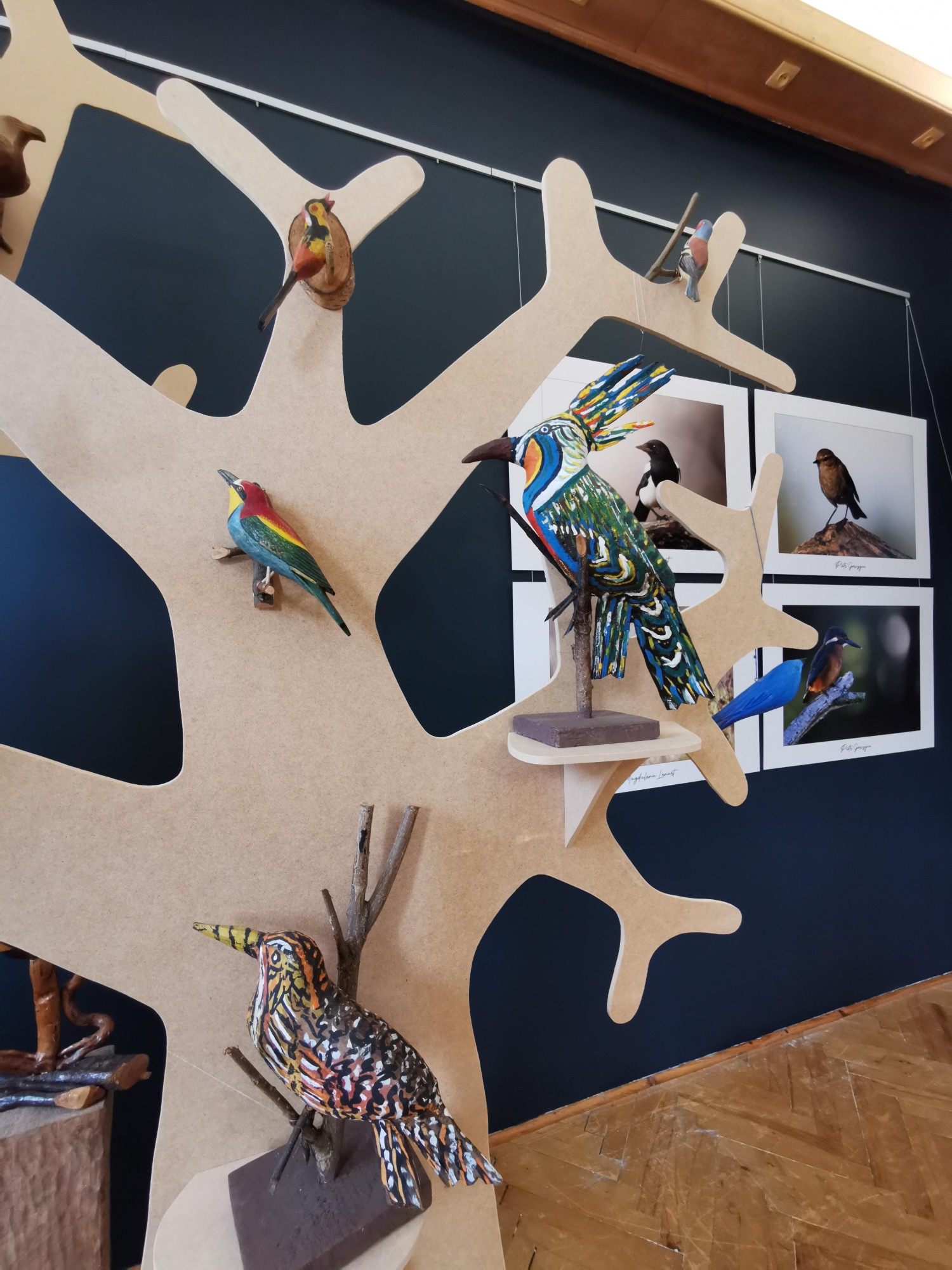 livebirdspoland_5dfc3d971637cbe0333b90c00d3fe0b4.jpg