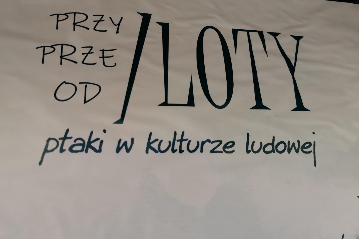 livebirdspoland_75d83dd27a6d2b178902842ab5e5516f.jpg