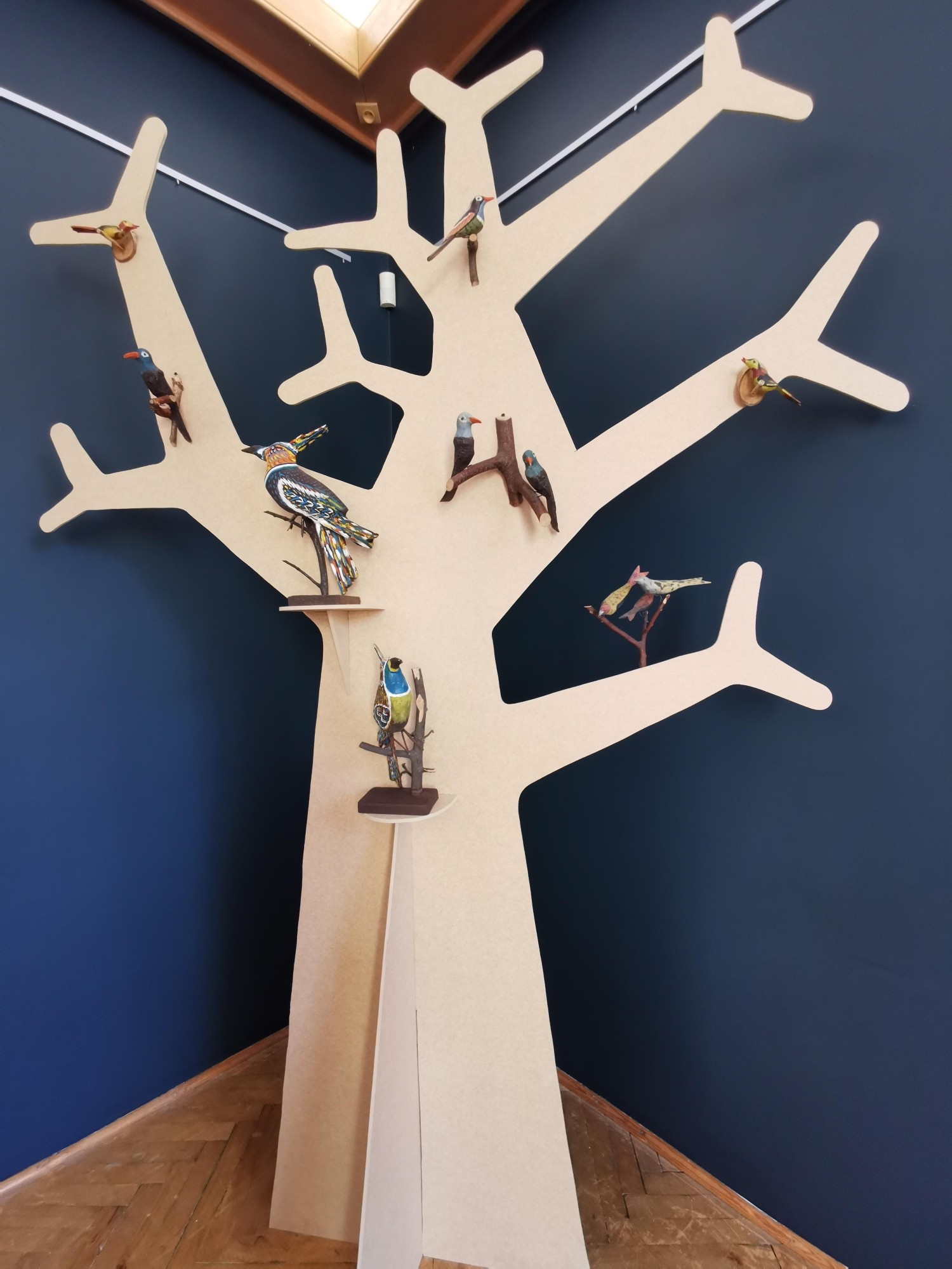 livebirdspoland_9024ae21a78c567628c50708e4675774.jpg