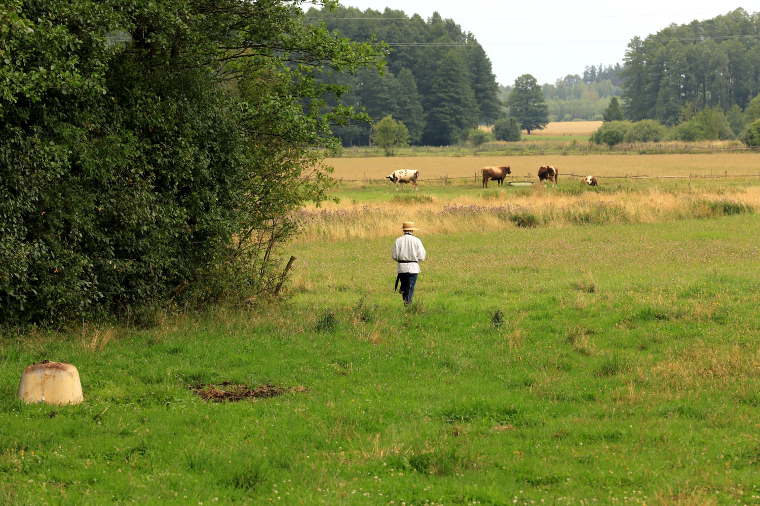 livebirdspoland_1658b5061ba973b826a5961970690ae2.png
