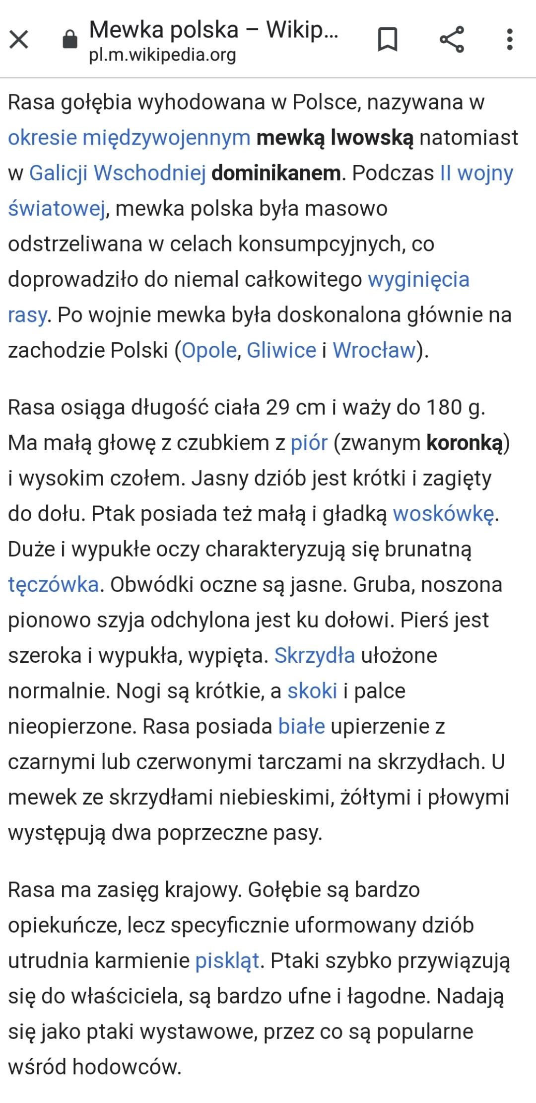 livebirdspoland_76256ad47b76e8448a1833e93f29fde2.jpg