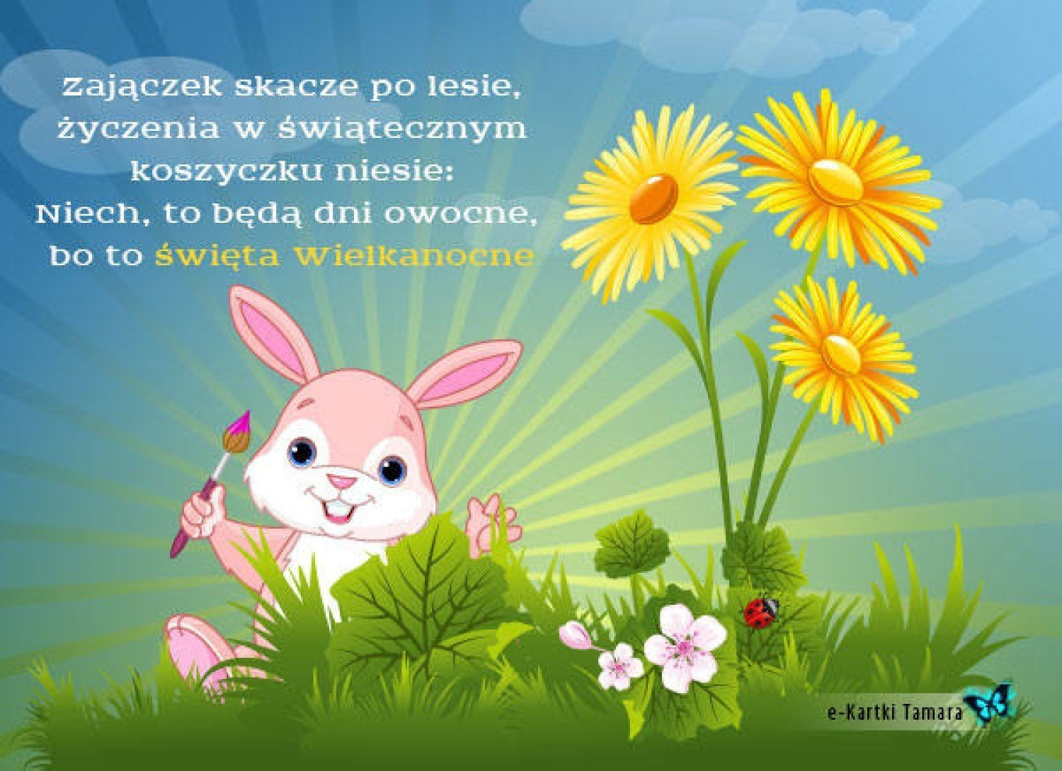 livebirdspoland_a5a7c66ba566aabb1e75b942f3843b49.png