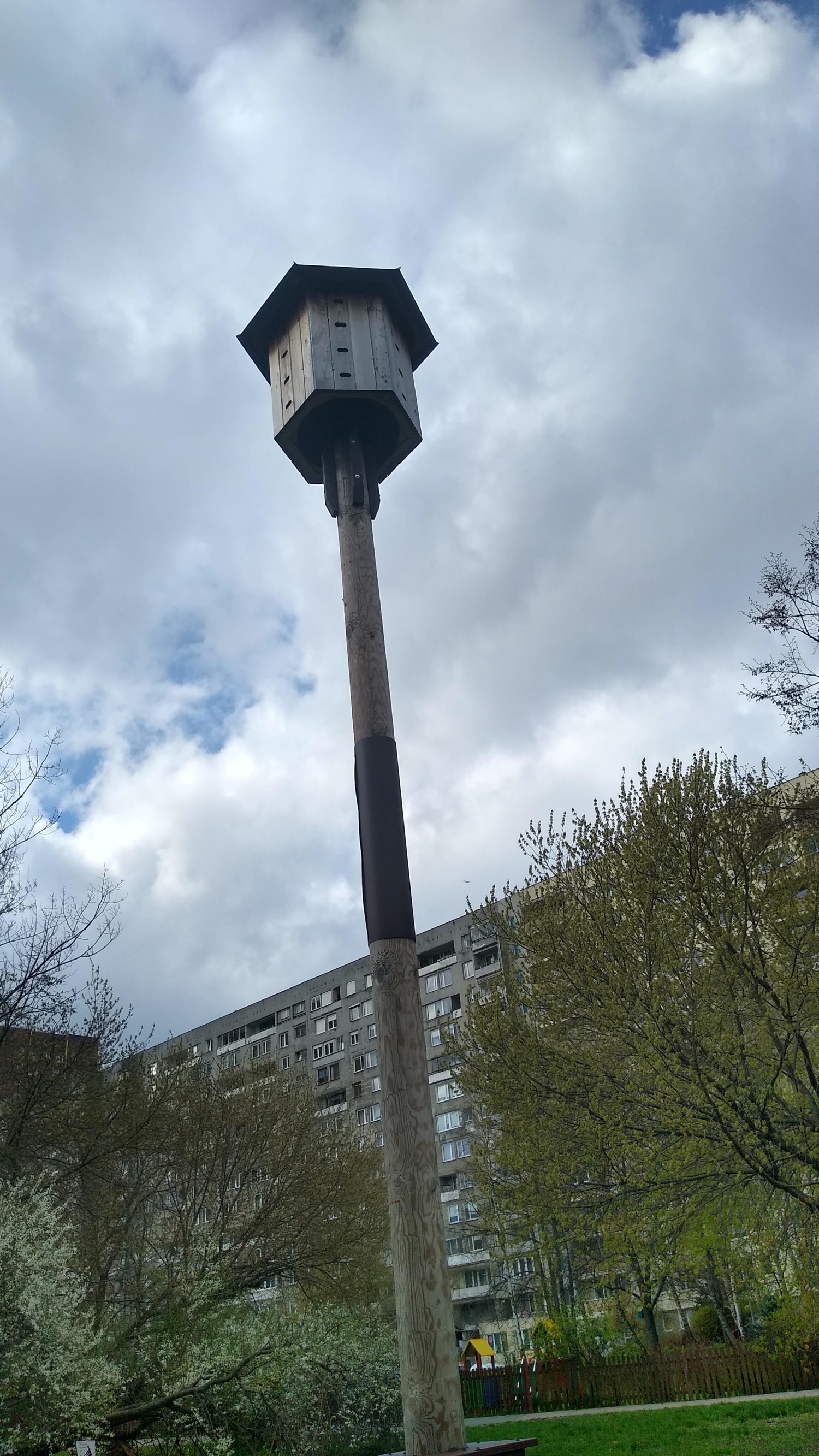 livebirdspoland_45cdad1b7269435dafe82b4918077571.jpg