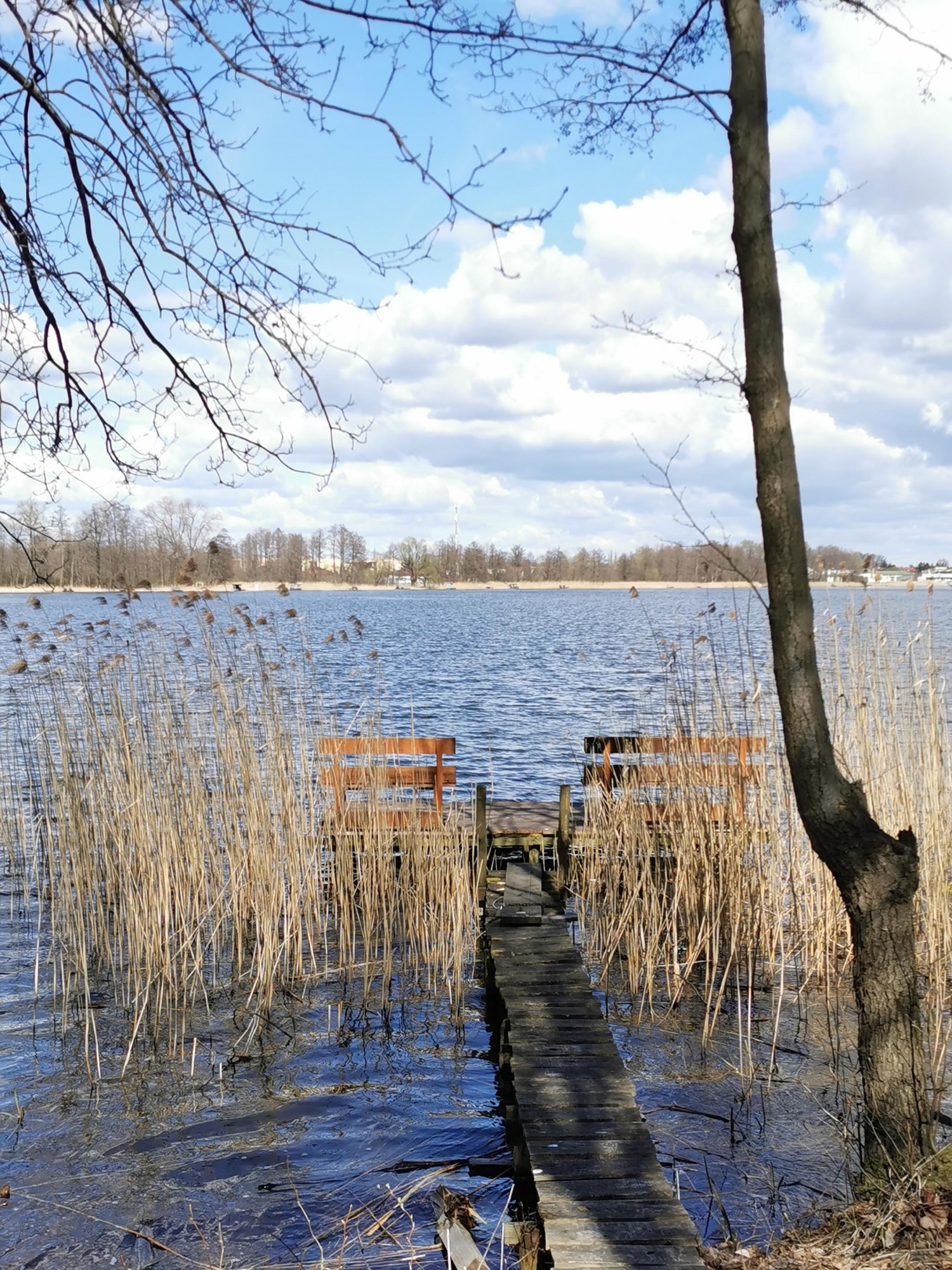 livebirdspoland_0873a72bb9f01410fa900f8e79bef083.jpg