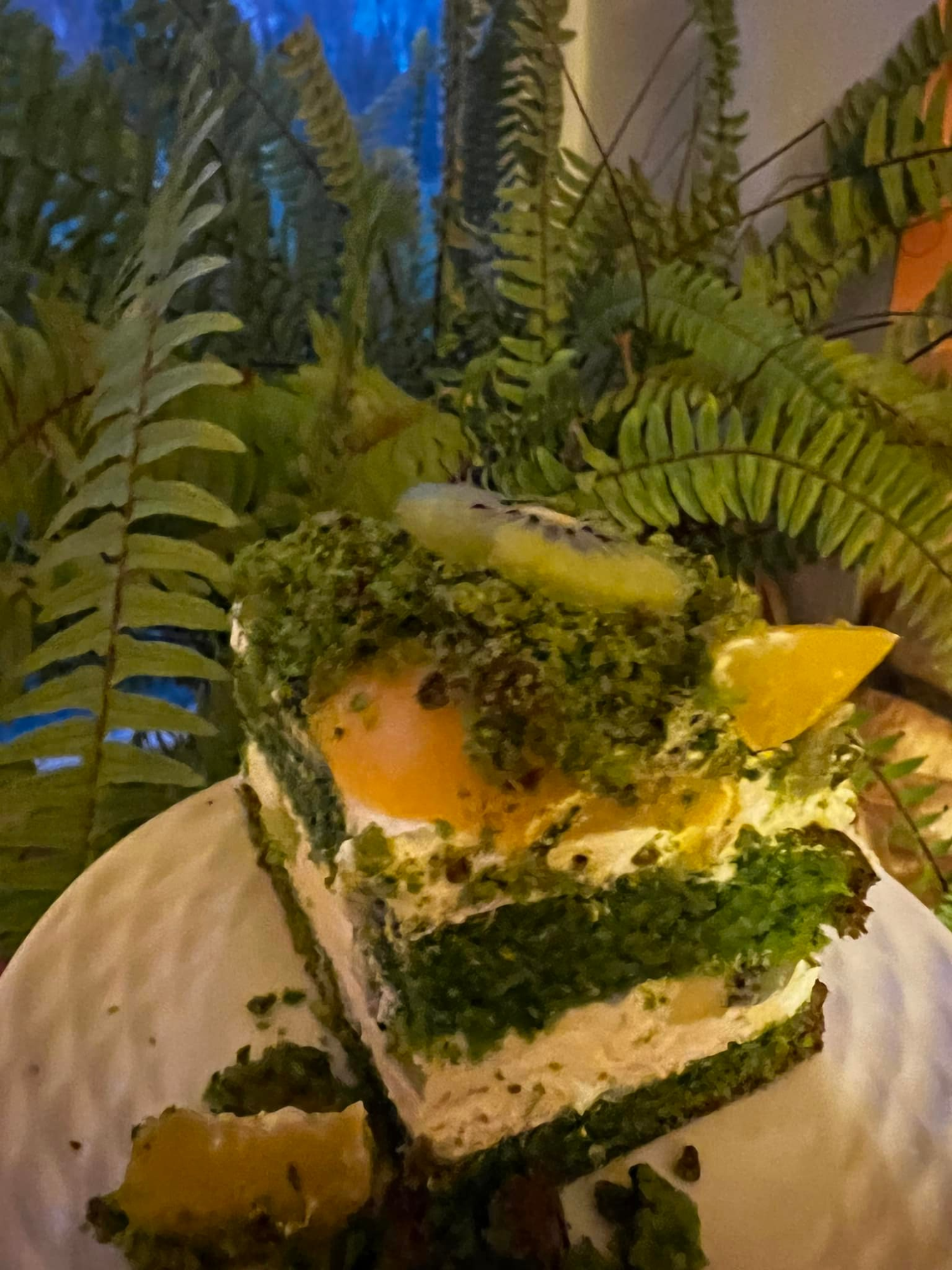 livebirdspoland_980d04b001990c16514891ae8520f2a4.png
