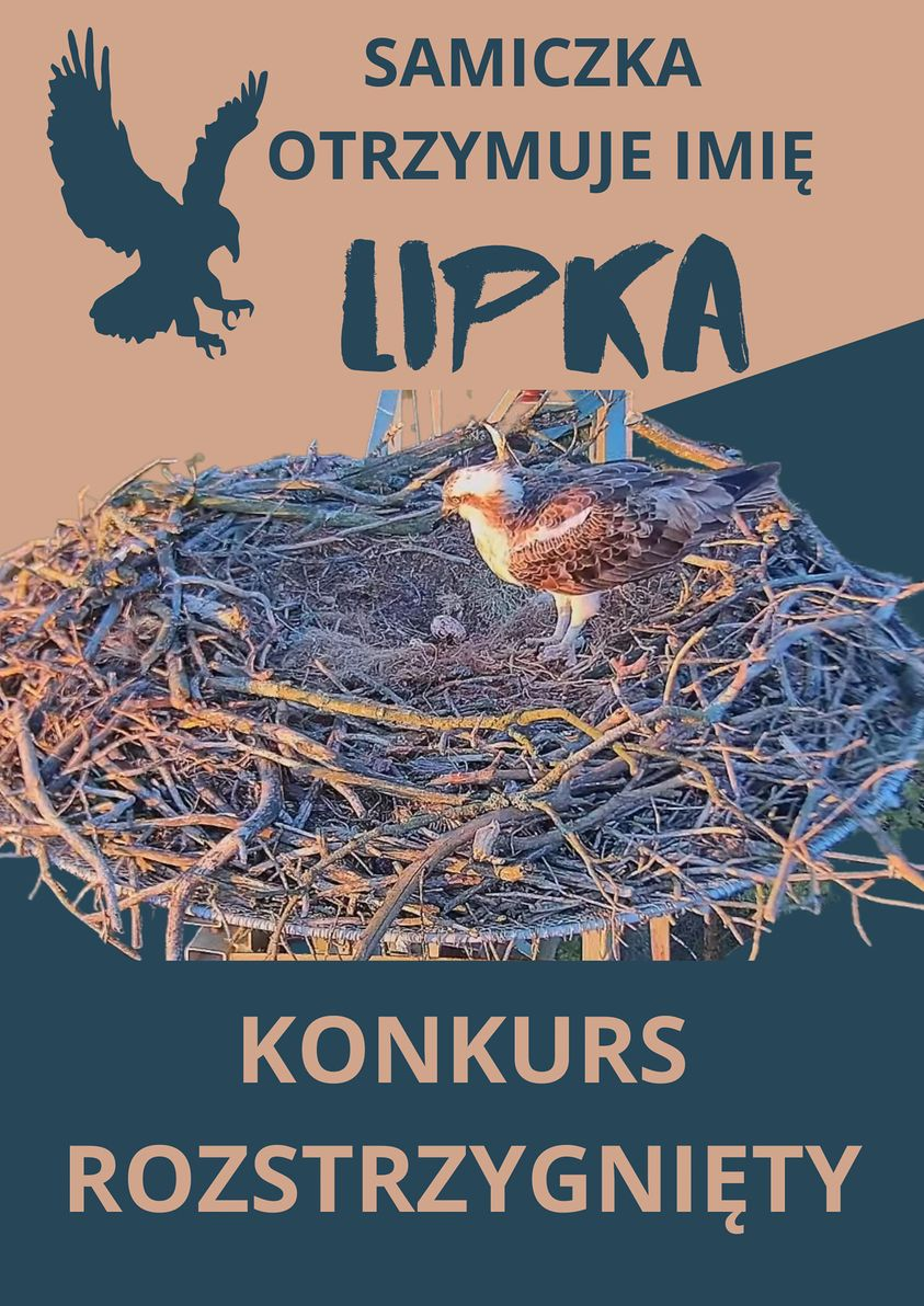 livebirdspoland_efd02d2d40c9827d213d894b62391d54.png
