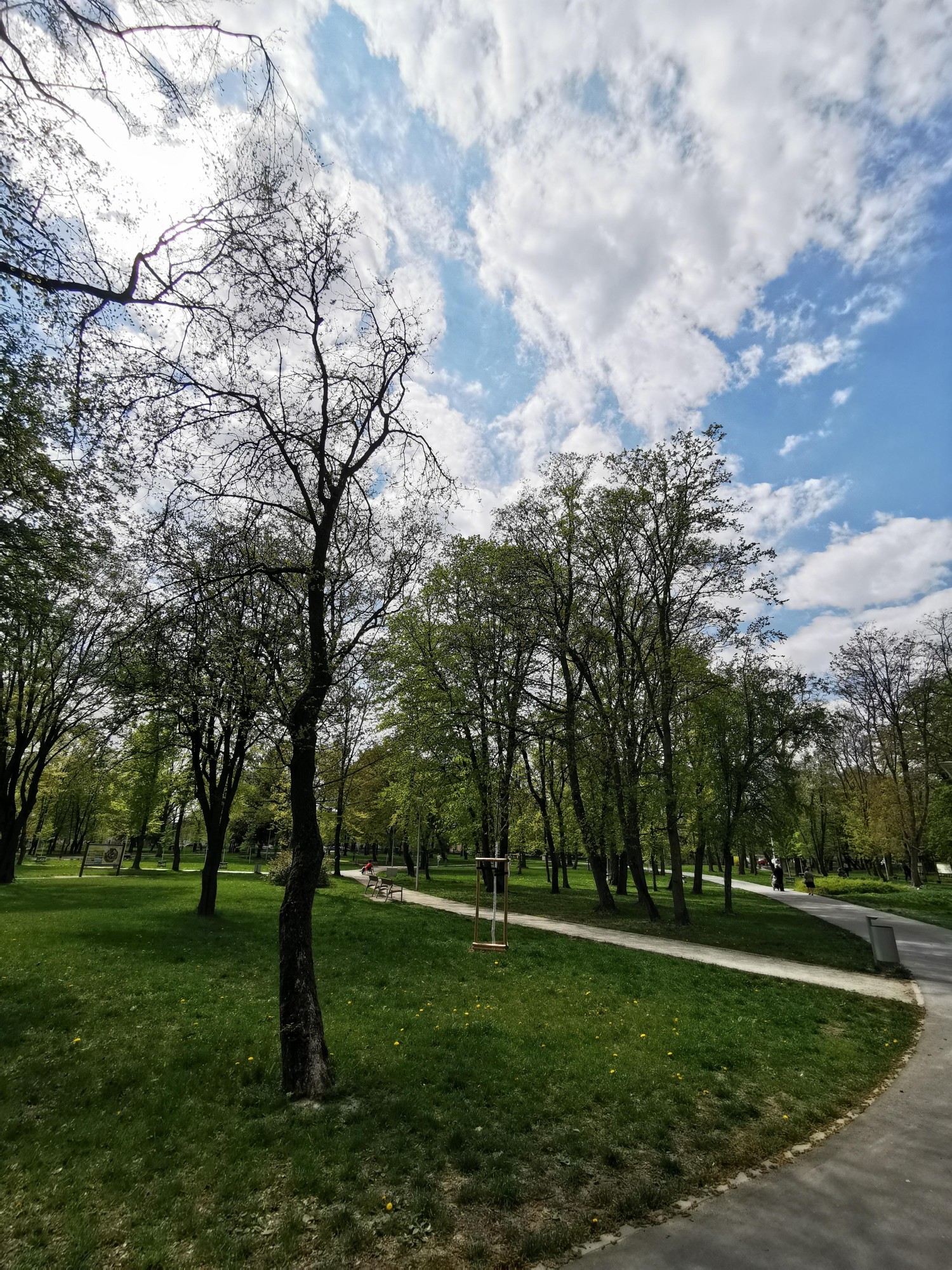 livebirdspoland_1c7b306337ccb939f942fedb2731e6e2.jpg