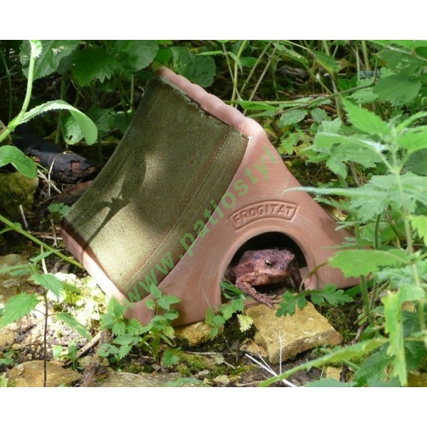 livebirdspoland_7b208c92066acafbe58b1ca650b15675.png