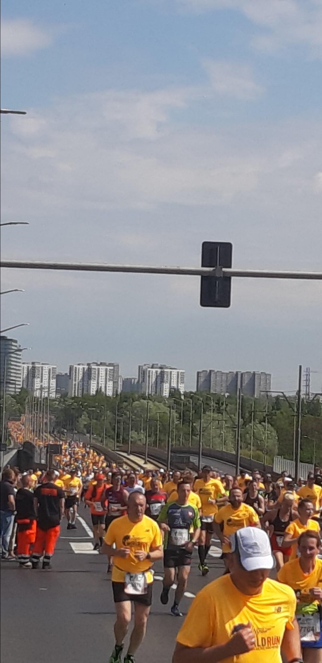 livebirdspoland_bd57b664847680e69eb31717265fbd81.jpg