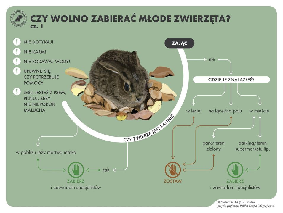 livebirdspoland_480473e427b4f6788f8724c1bf797a70.png