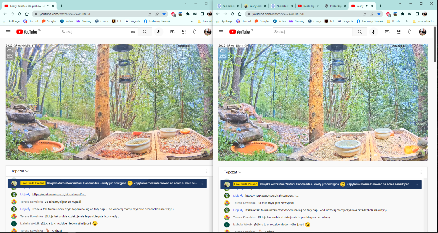 livebirdspoland_e4fe7573ae24e3cc584def00ee724b00.png