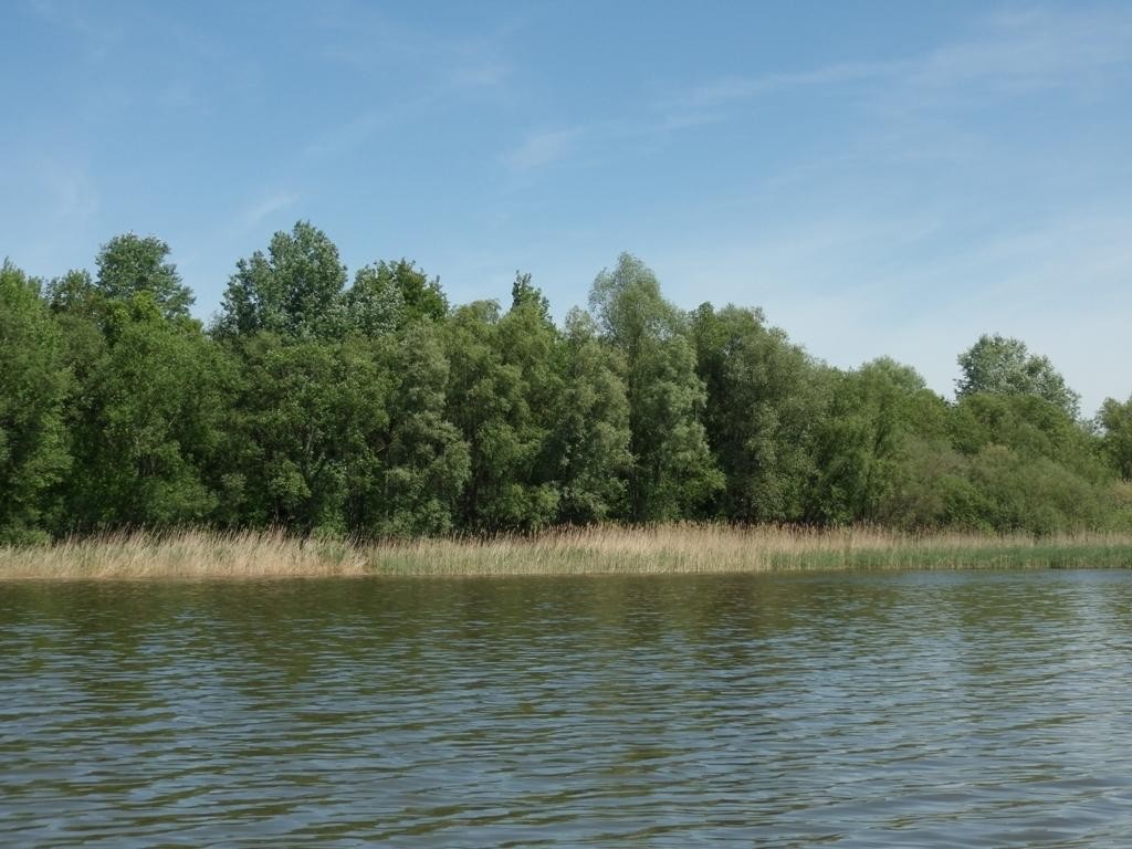 livebirdspoland_9a14ed95ab02aa643b60b562df52dca7.jpg