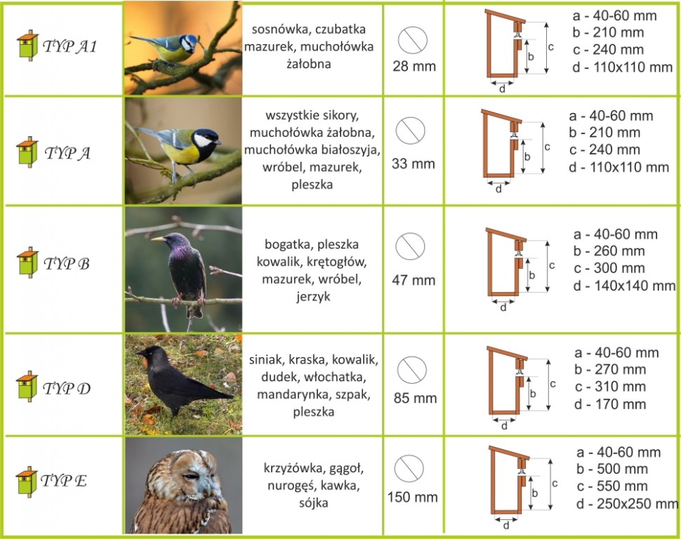 livebirdspoland_63bd133d49e8b1c4383b3326220039d1.jpg