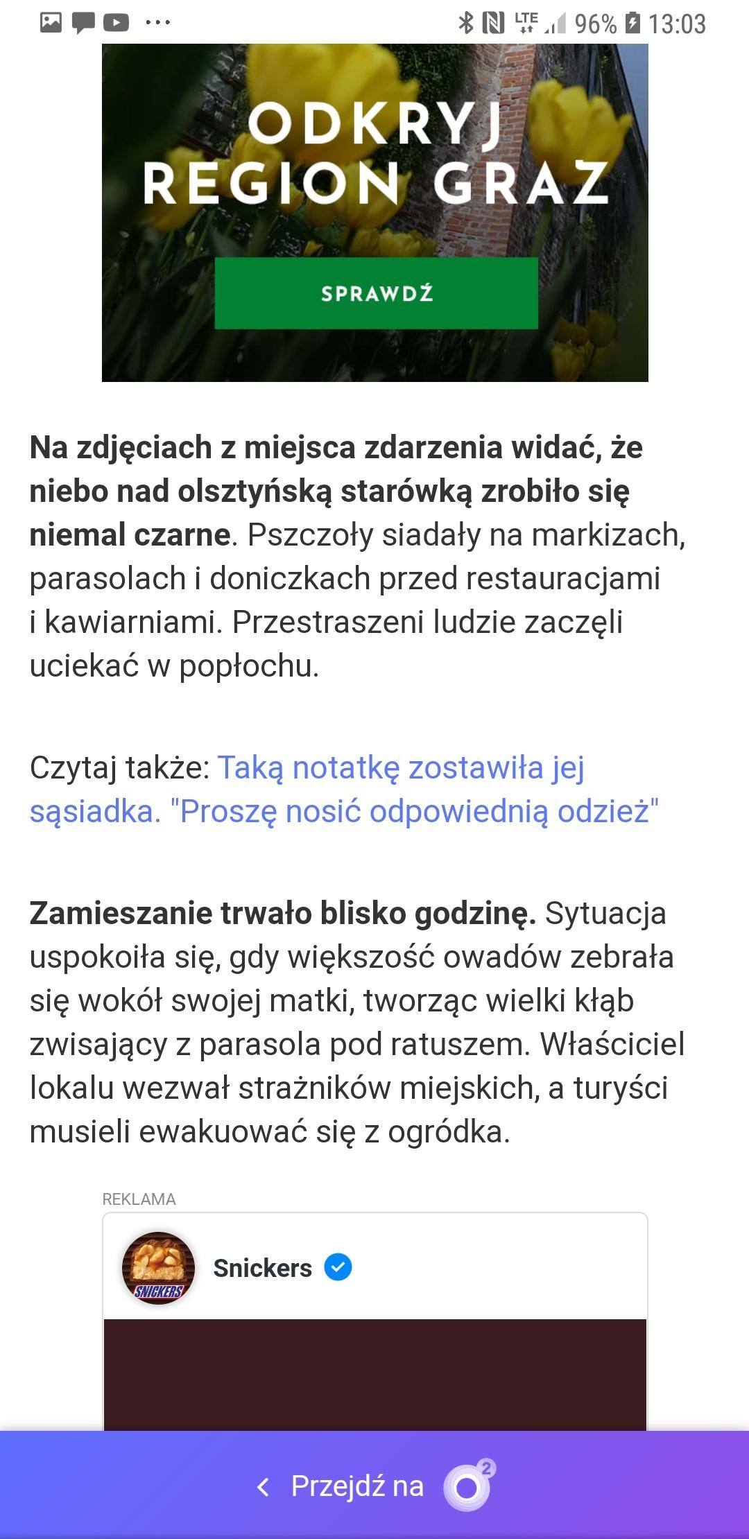 livebirdspoland_dc135fcdd84c89ce080aae9f93eae787.jpg