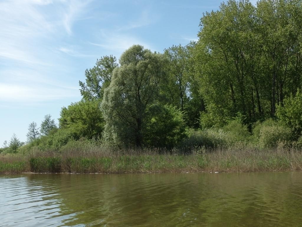 livebirdspoland_0997821a30fcb762cd7b63de3c9f6f4f.jpg