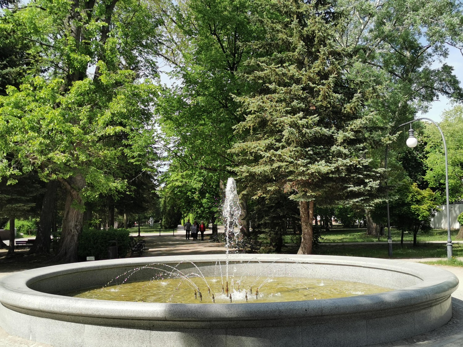 livebirdspoland_96cdebadcc87b09a688c7e6e00cb0d13.jpg