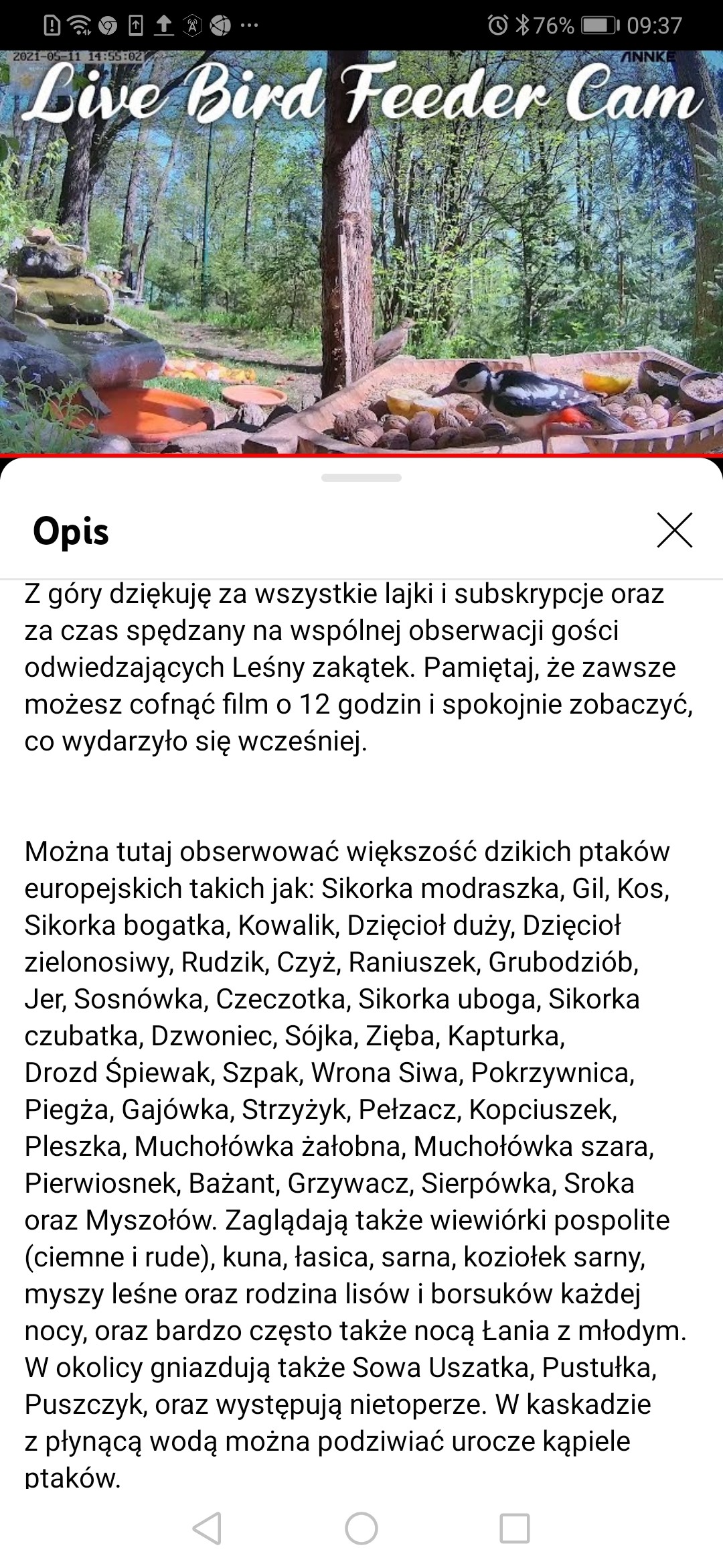 livebirdspoland_b21f32f3e3d37f8710ca11e952527c67.jpg