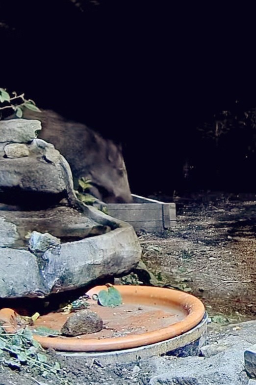 livebirdspoland_d6470c410a858377392b828bb5665a82.jpg
