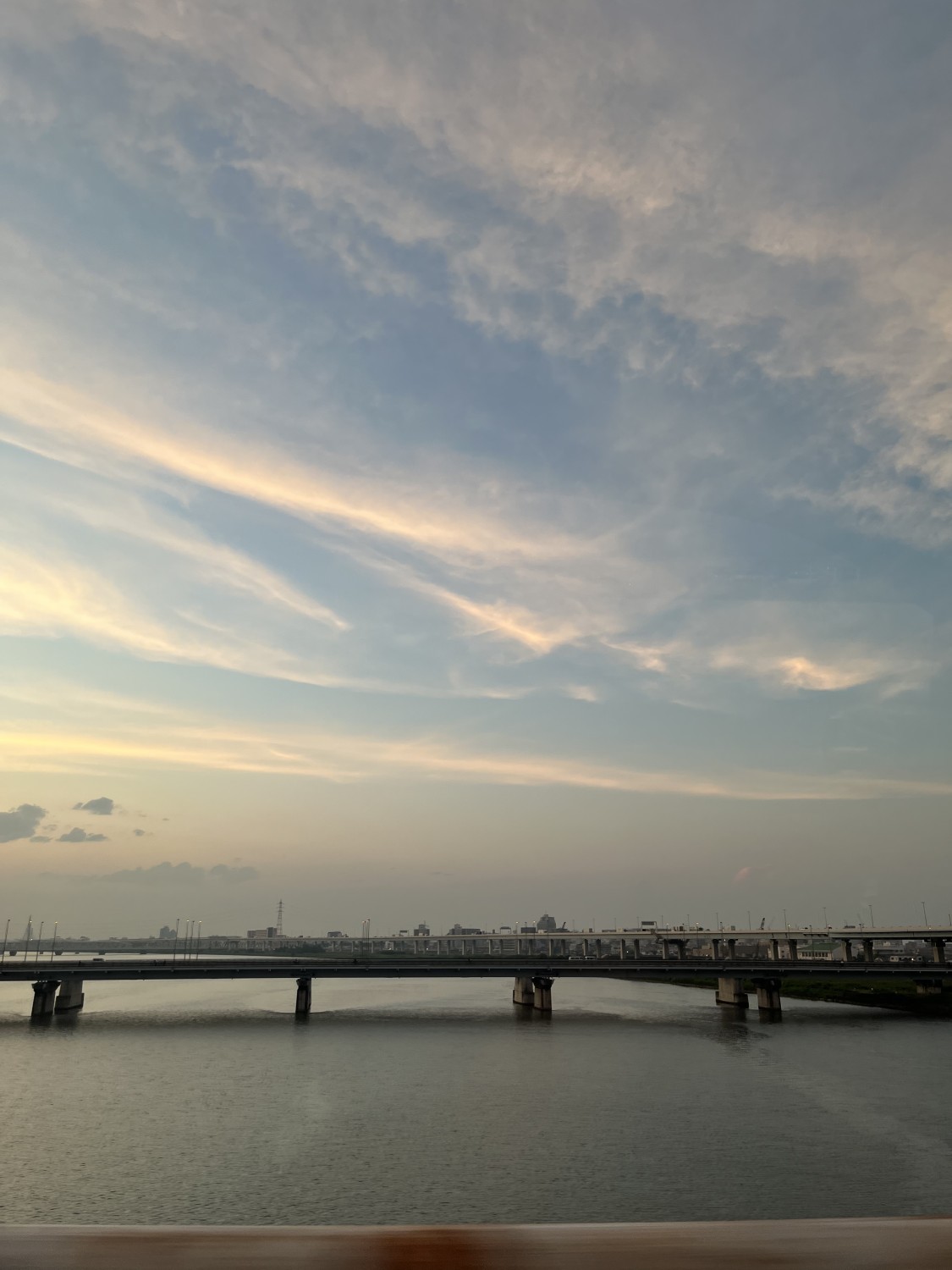 livebirdspoland_56c58420810f477bf2b199e5c90296c6.jpg