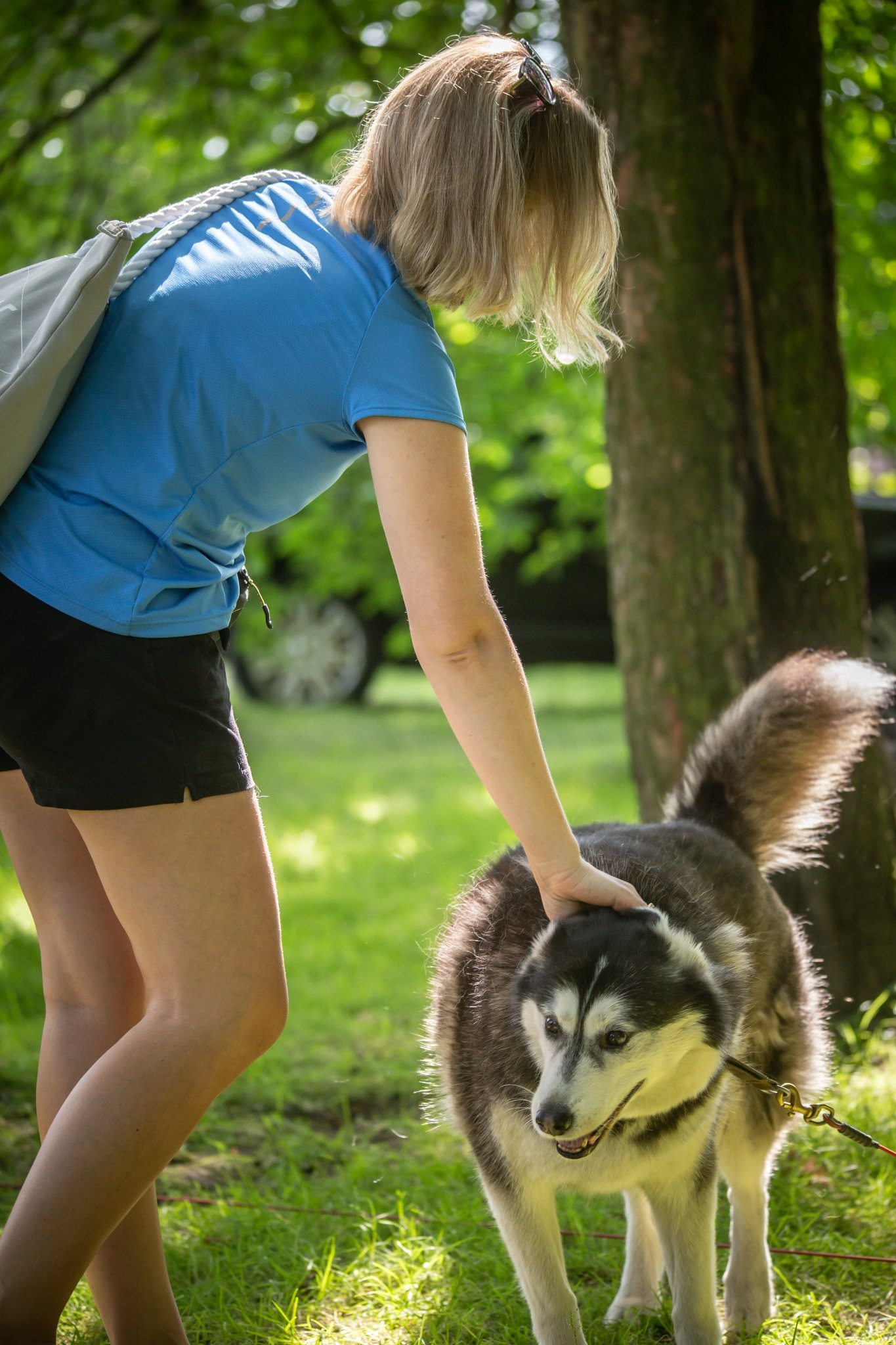 livebirdspoland_5fd00b27536f350473d9797fde0a338a.jpg