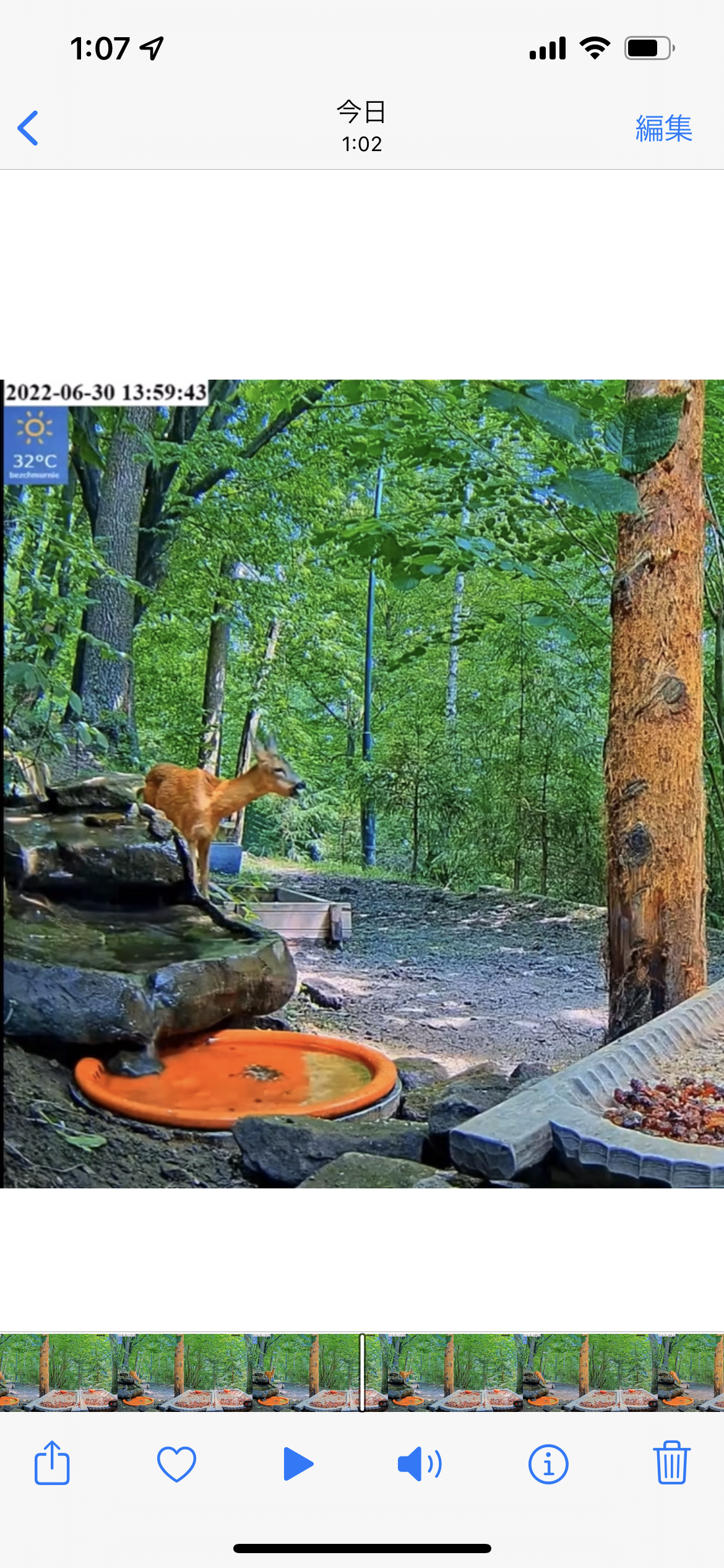livebirdspoland_81c9047cd9aa07696b1417c739e892ac.png