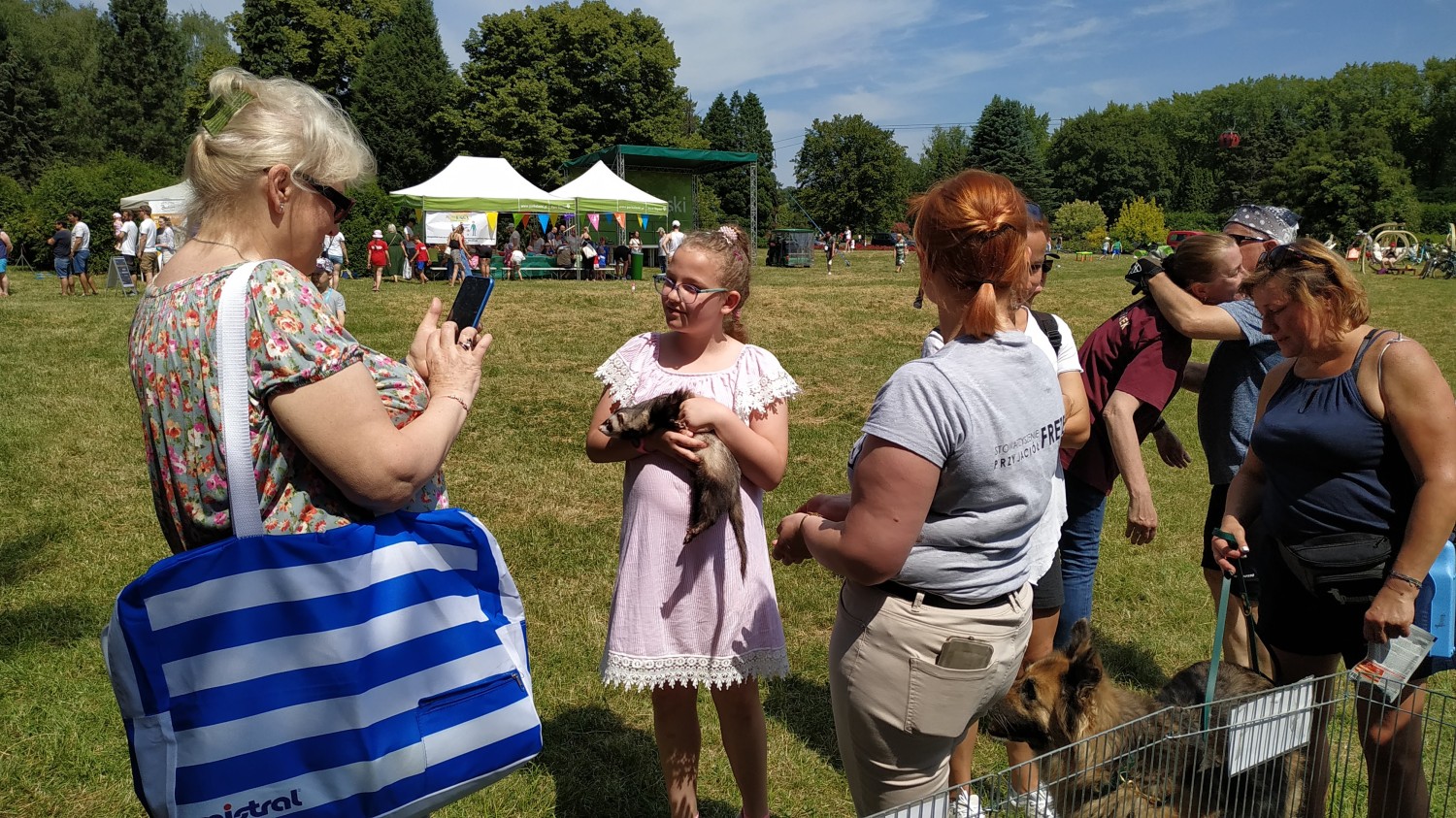 livebirdspoland_a8398b47b22f5a088e34f4d5aa1b7897.jpg