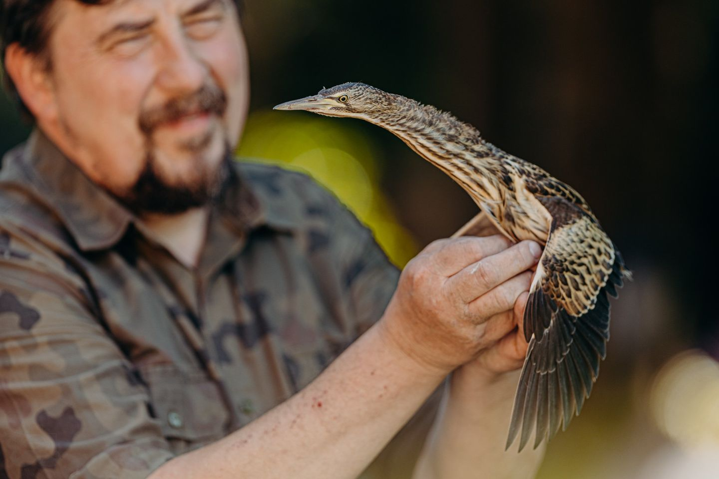 livebirdspoland_cb14ab0eb3b4462d0505f63ea6b8f69c.png