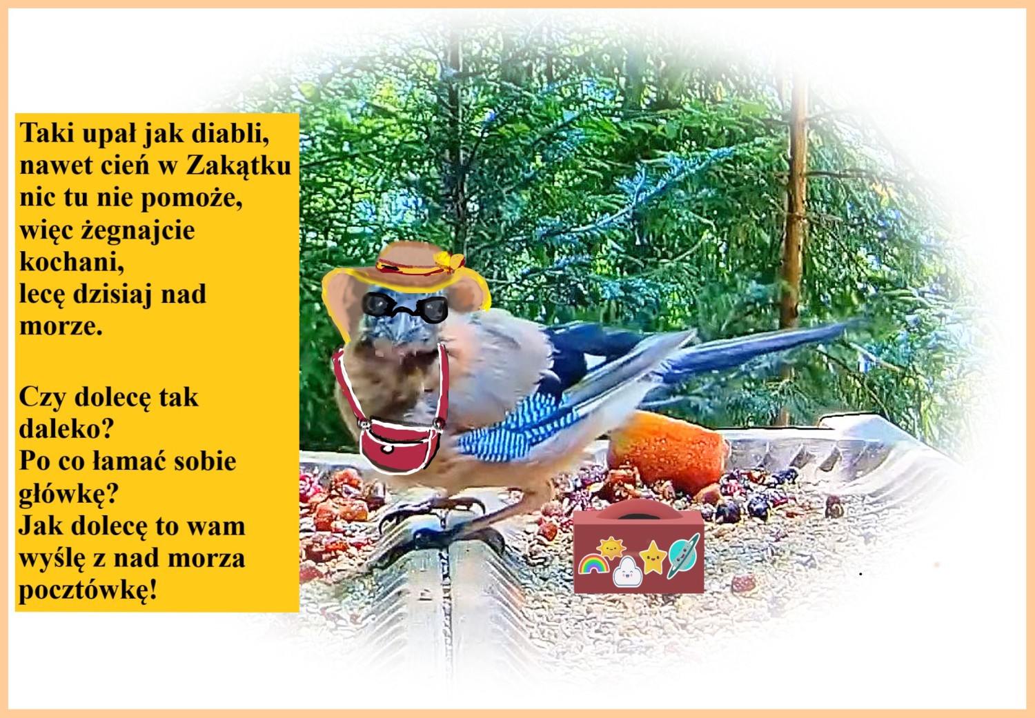 livebirdspoland_6da393f9ad83873f66d3605de9421762.jpg