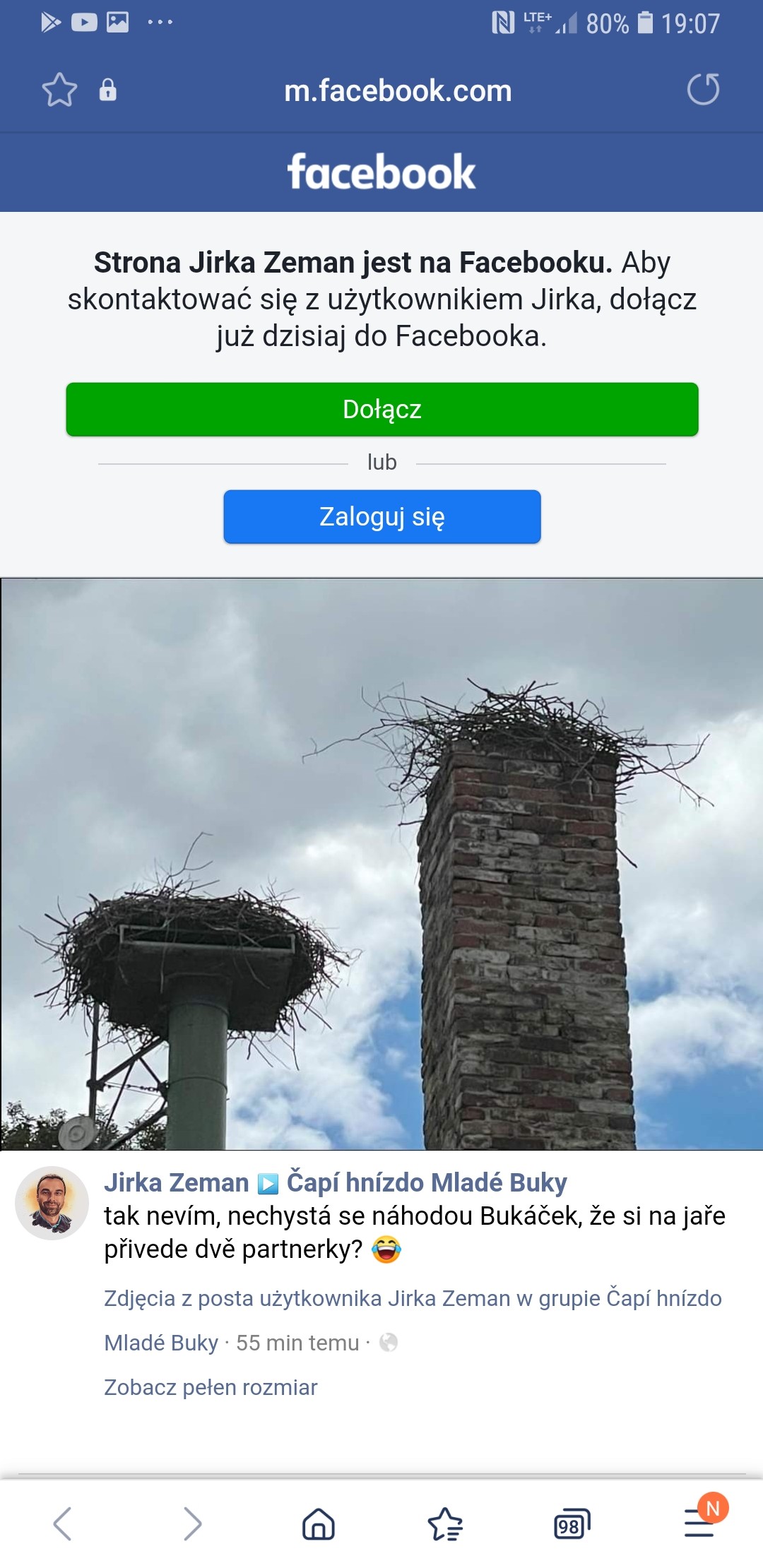 livebirdspoland_bf68ab2cc1fddc0acd1666ae54027bc7.jpg