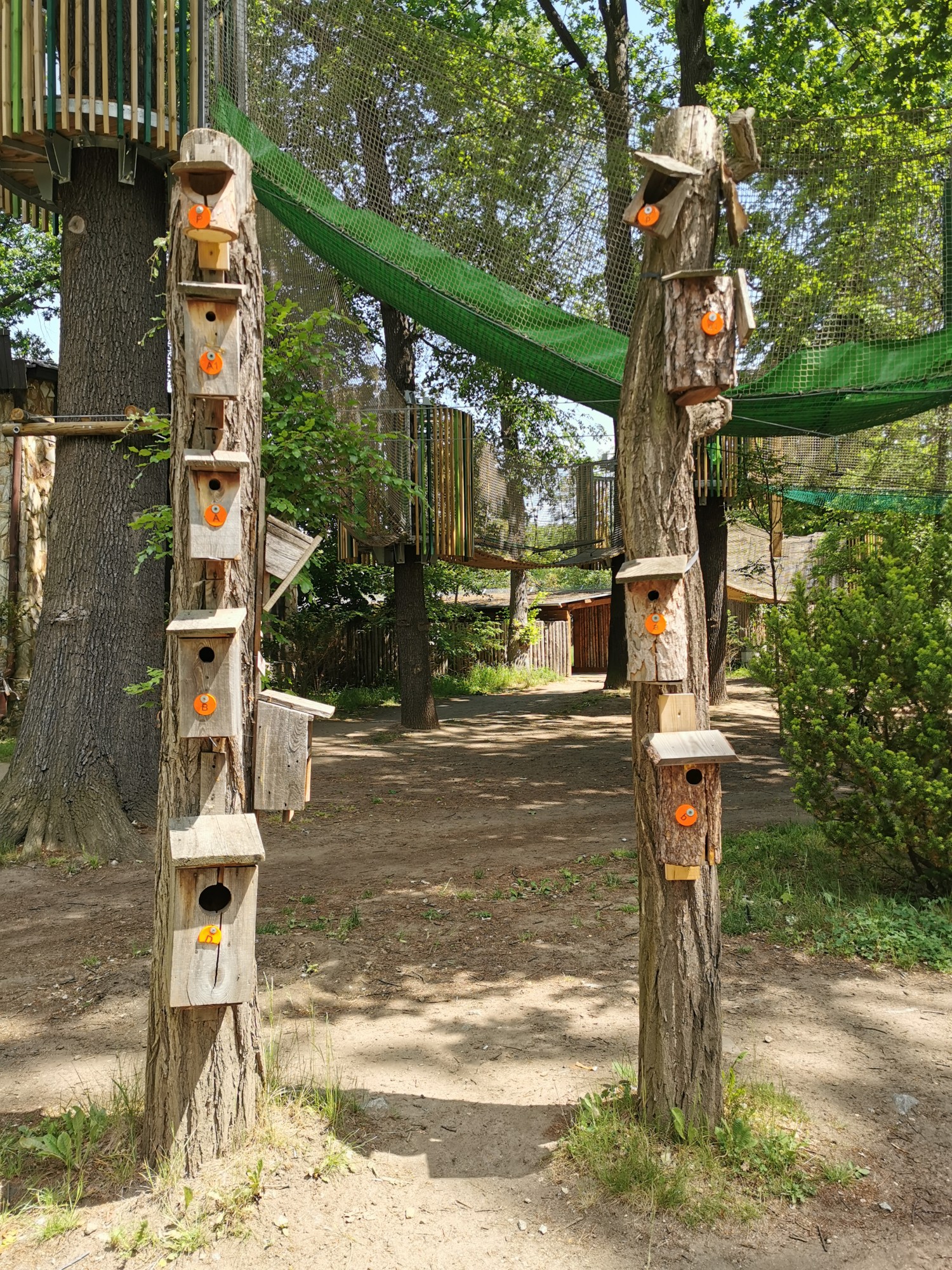 livebirdspoland_ecbb74074daac34a28abb5ab53bc7420.jpg