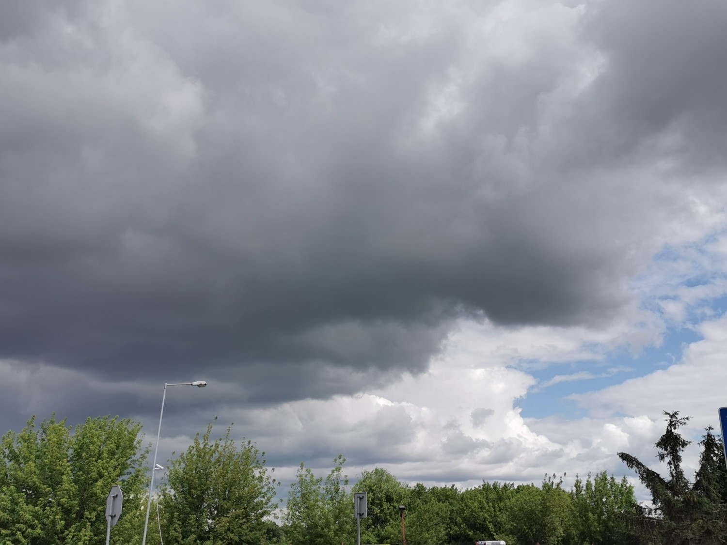 livebirdspoland_037800f76b3f7e422f56d2355ee2eceb.jpg
