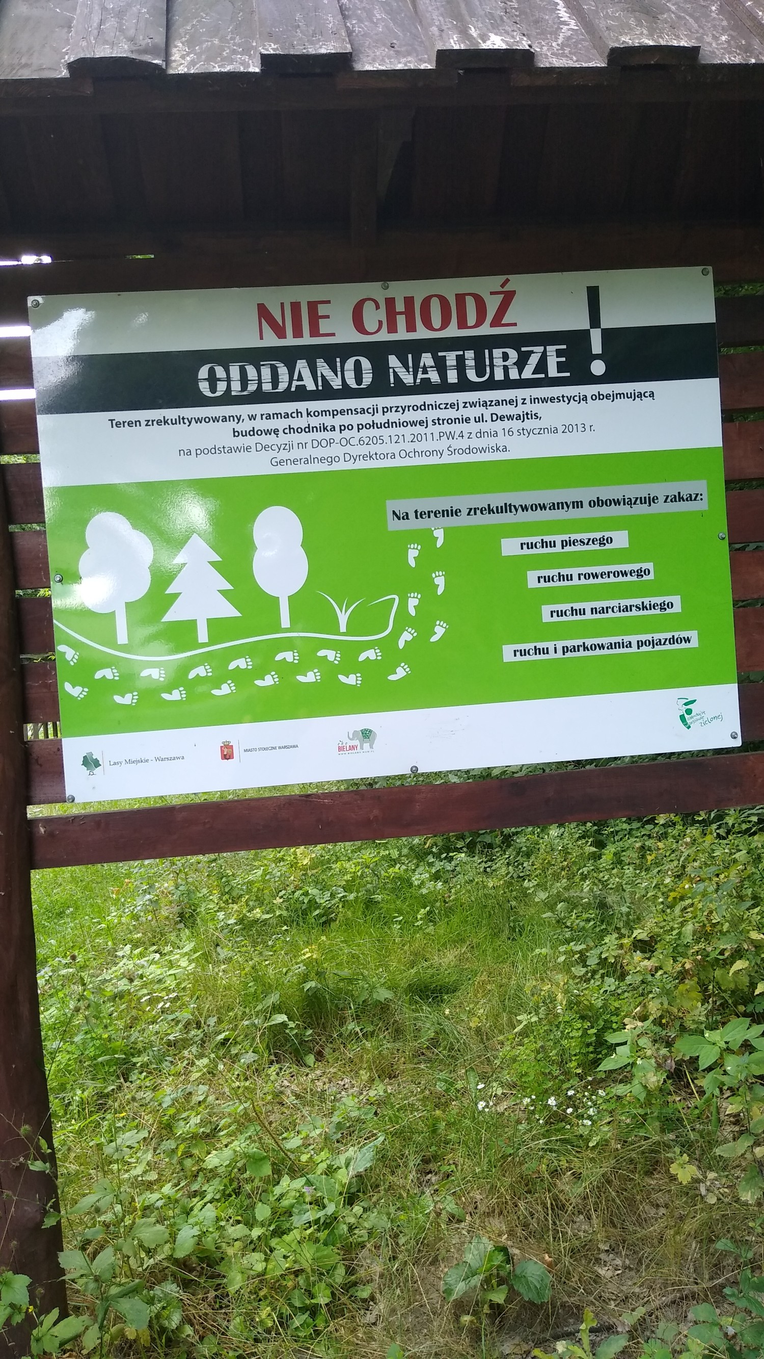 livebirdspoland_8f1861b77ef55ebb19765fe434299e40.jpg