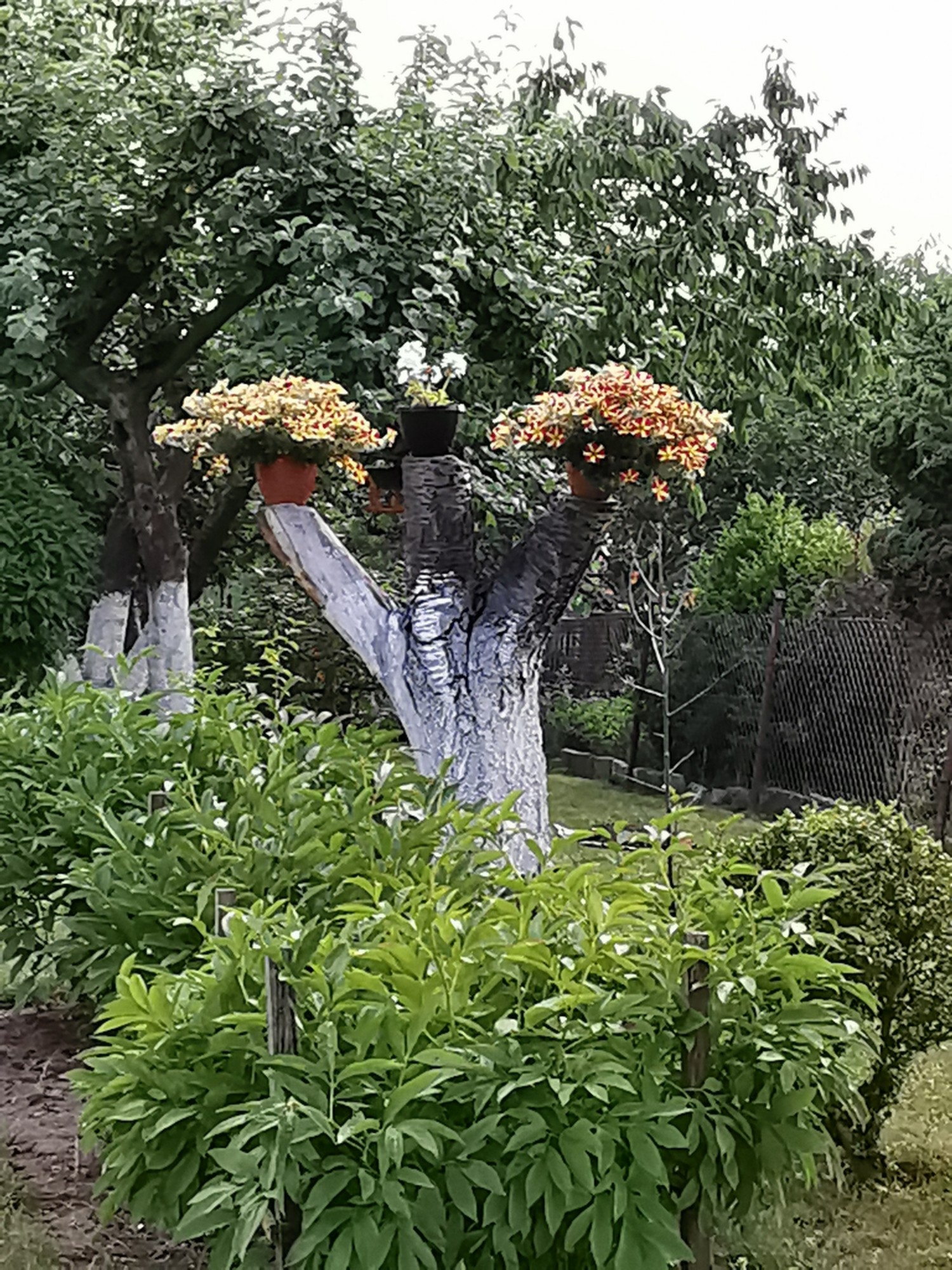 livebirdspoland_8933a989d0b61b8469bec4f336b65070.jpg