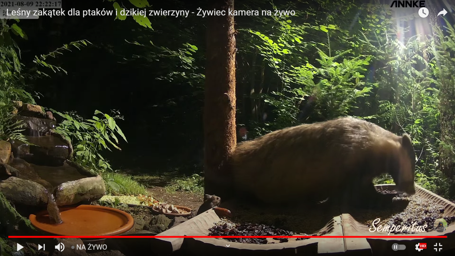 livebirdspoland_e40a3ed72d42c89eb5bdac401ff0e101.png