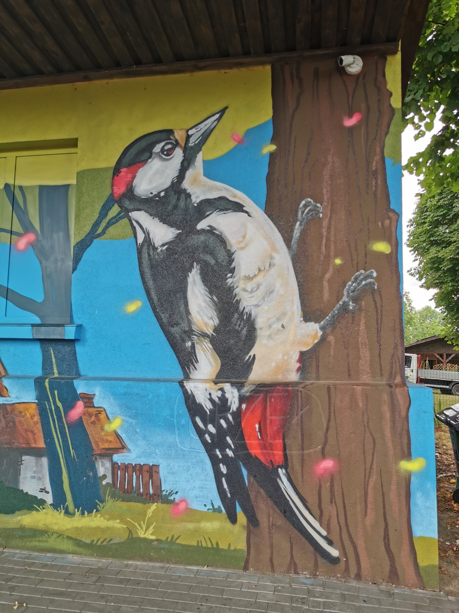 livebirdspoland_042595c1de0d1bb7086e5f99a84627e8.jpg
