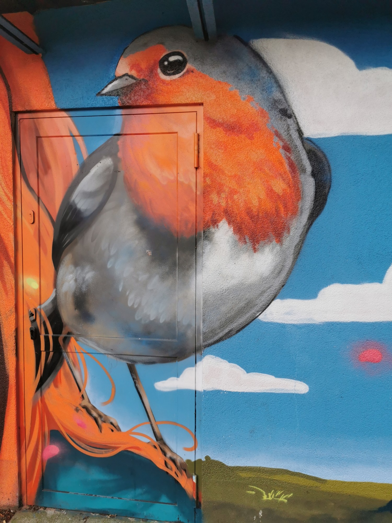 livebirdspoland_be0e8bb8a8a10627f10f6d6cd39e735a.jpg