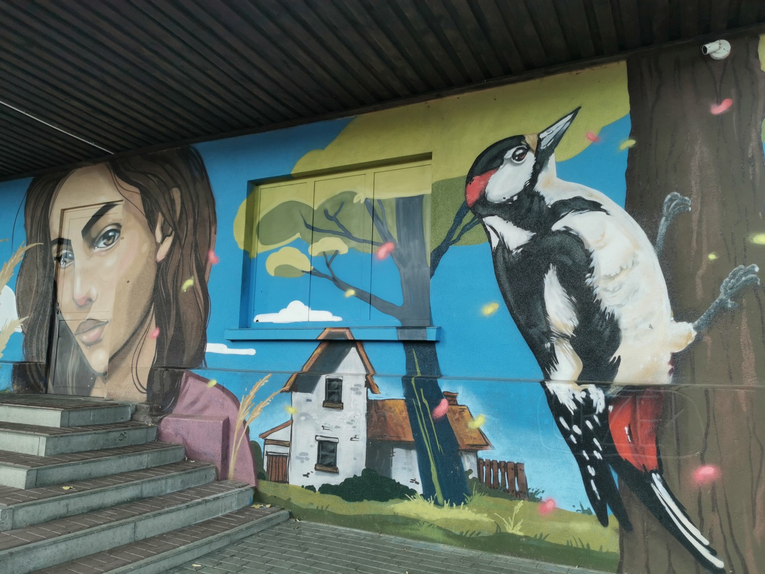 livebirdspoland_c8a64a71653e1cd8970acb2706b83820.jpg