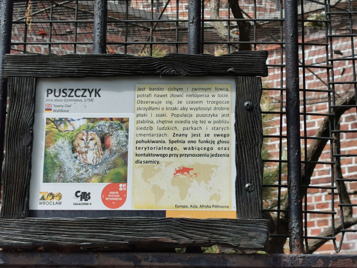 livebirdspoland_416437faace859d3301d6ae914991f0b.jpg