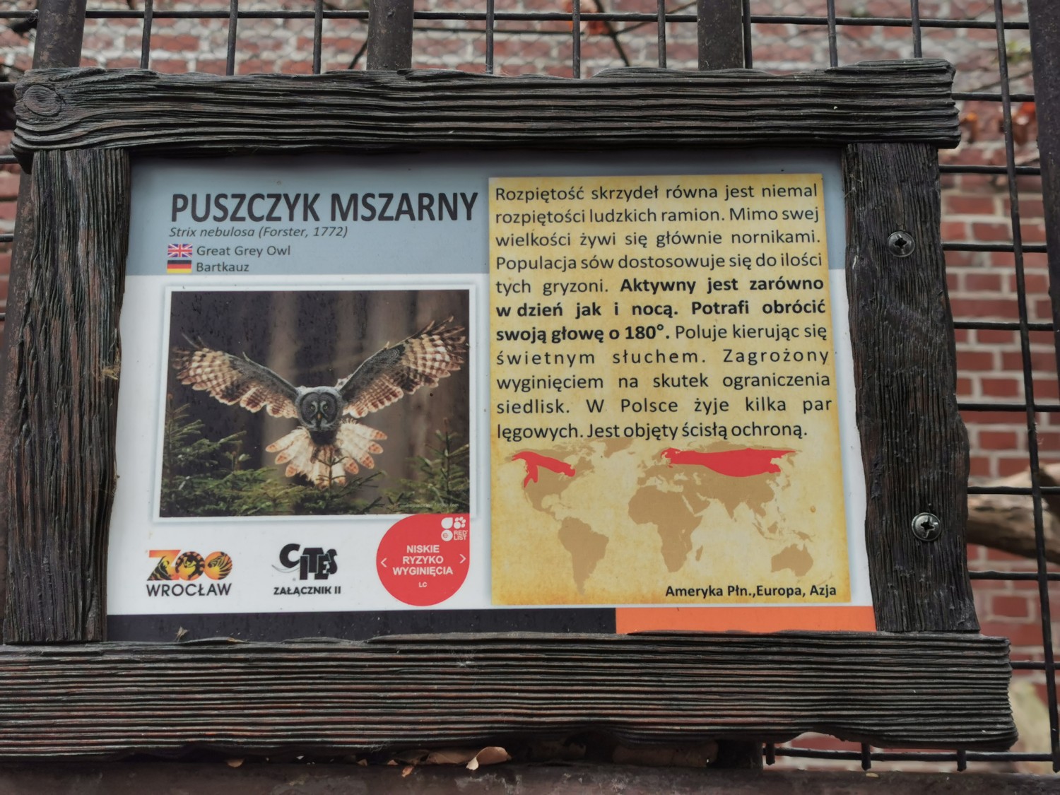 livebirdspoland_44a5753069b2d0498b56f8b222cc2efc.jpg