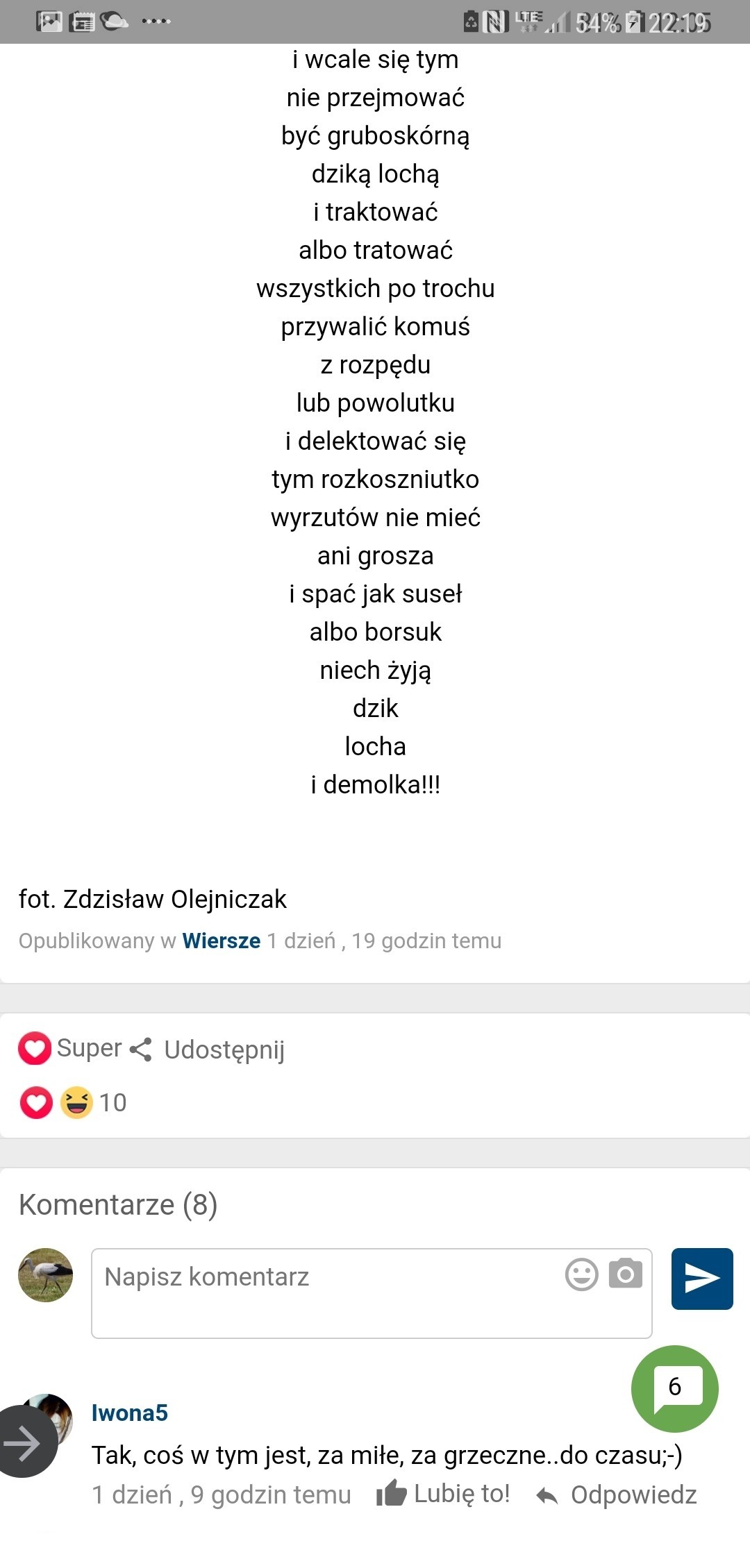 livebirdspoland_a04bf1b4188fa2c6748106d2e273408a.jpg