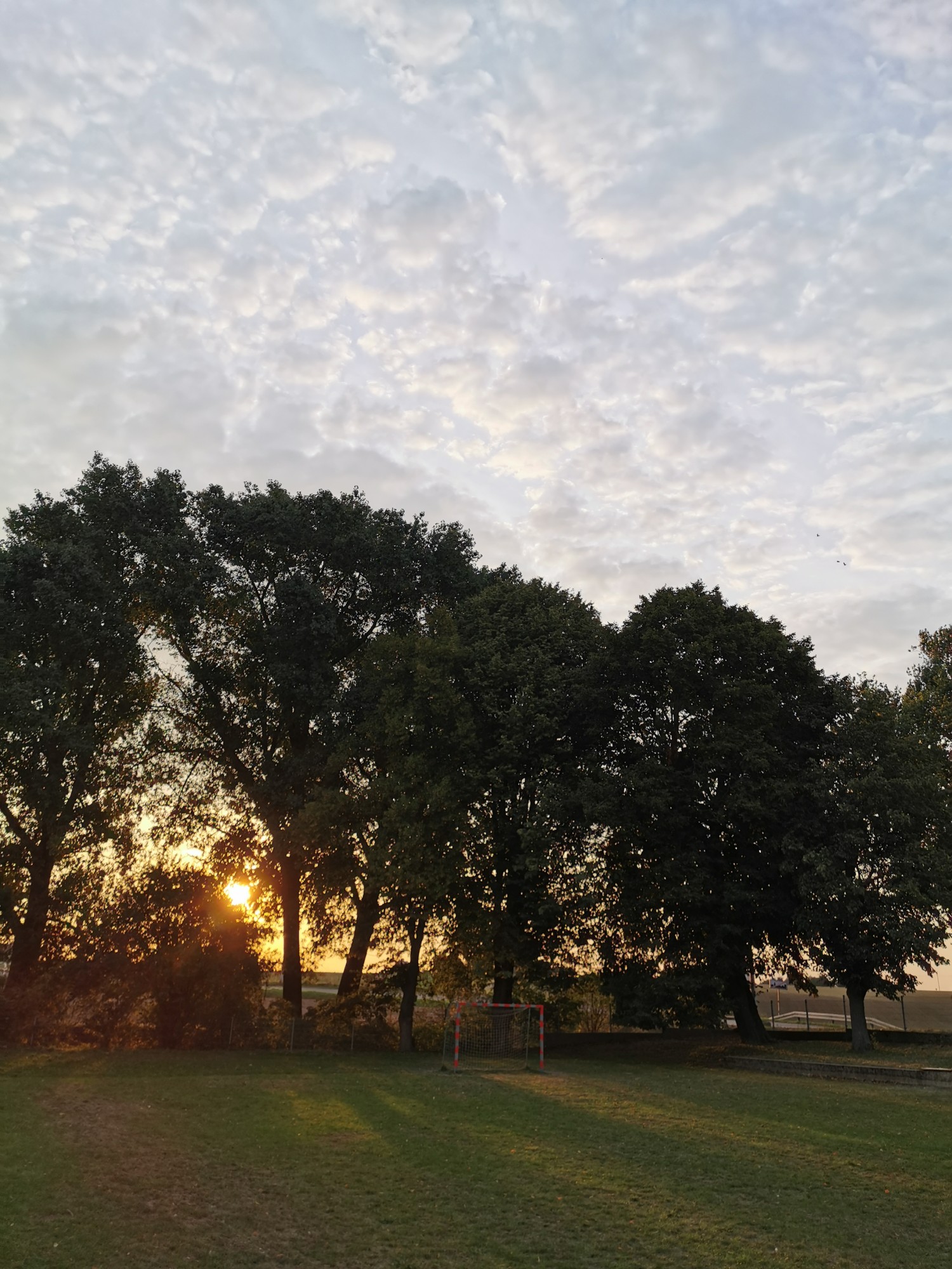 livebirdspoland_54b3420d63846a95c224241188679c03.jpg